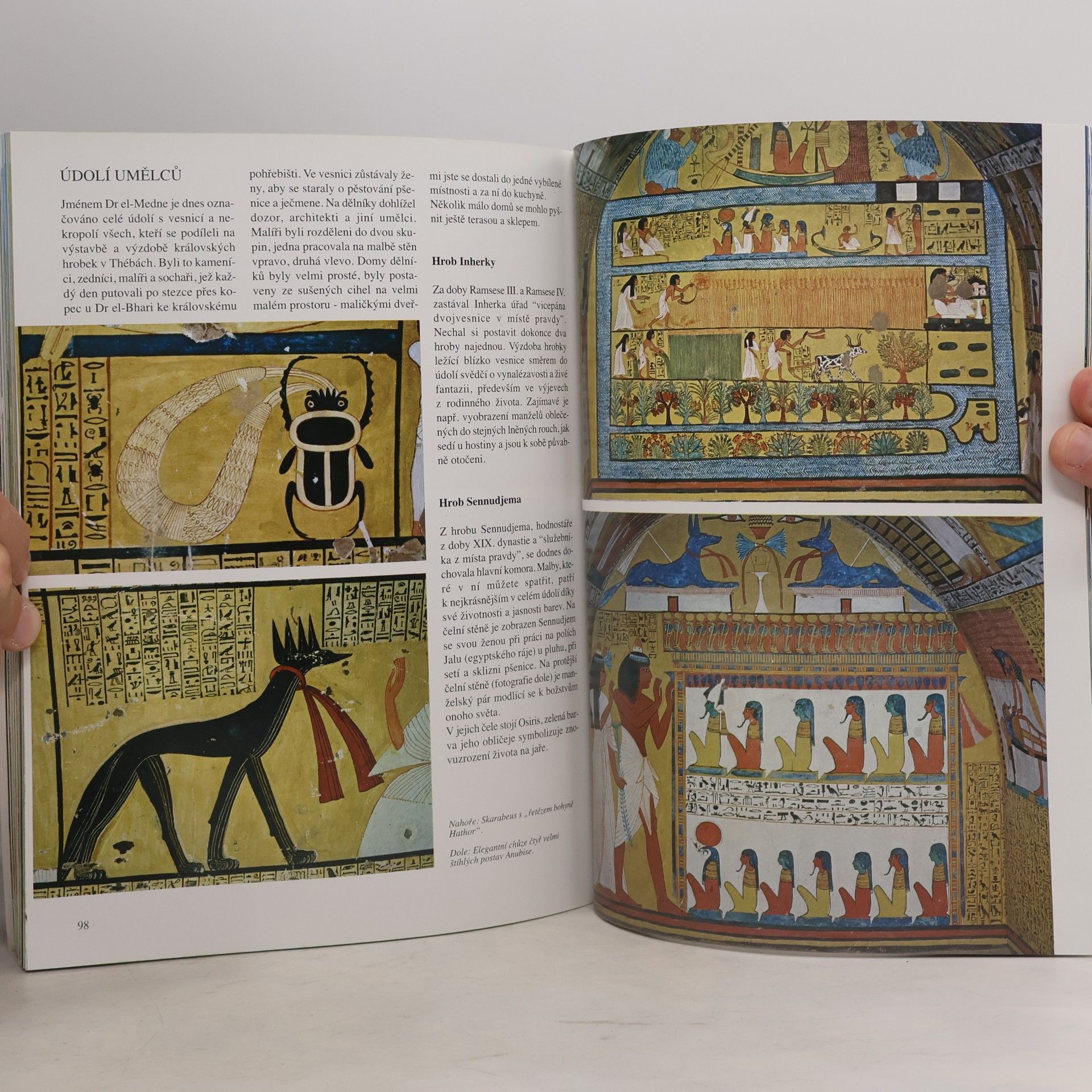 Abbas Chalaby Napříč Egyptem. Od Káhiry po Abu Simbel a Sinaj