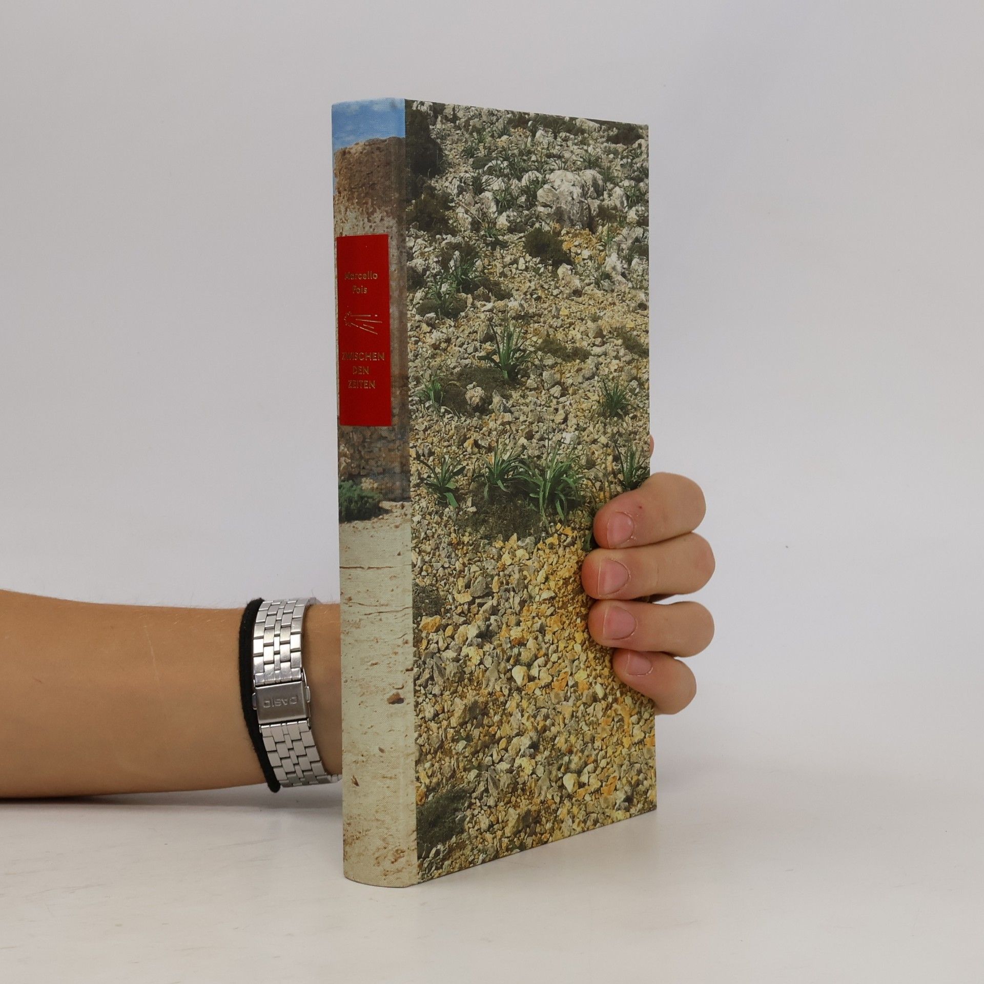 Marcello Fois Die Andere Bibliothek - 353: Zwischen den Zeiten