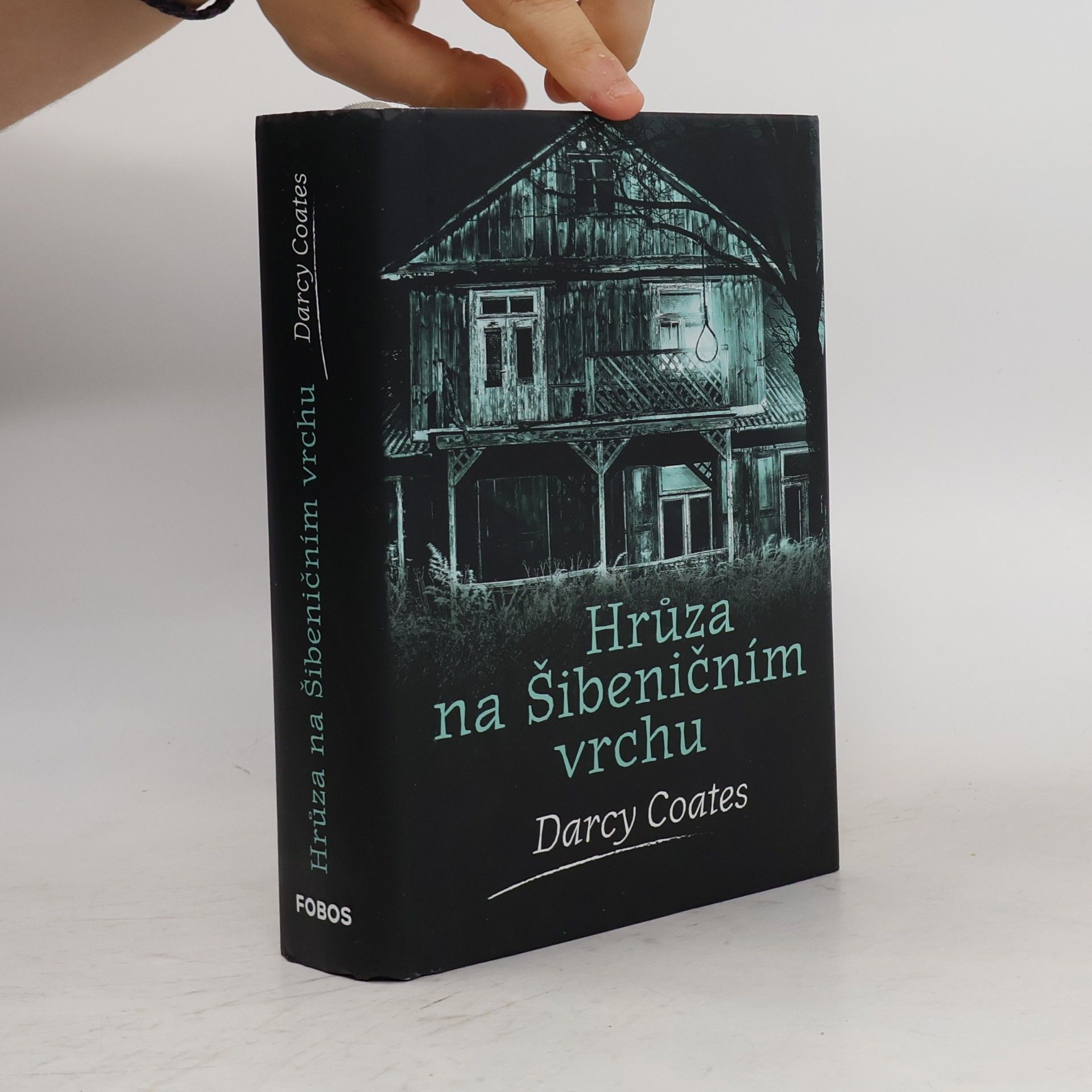 Darcy Coates Hrůza na Šibeničním vrchu