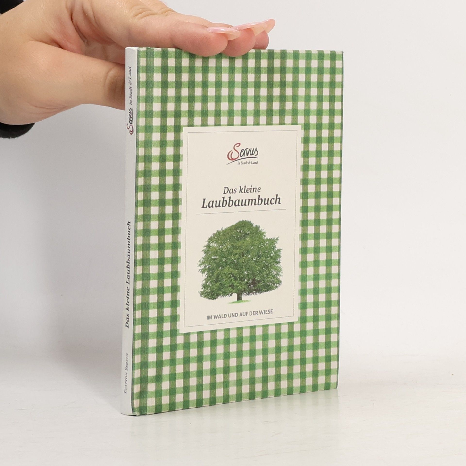 Julia Kospach Das kleine Laubbaumbuch