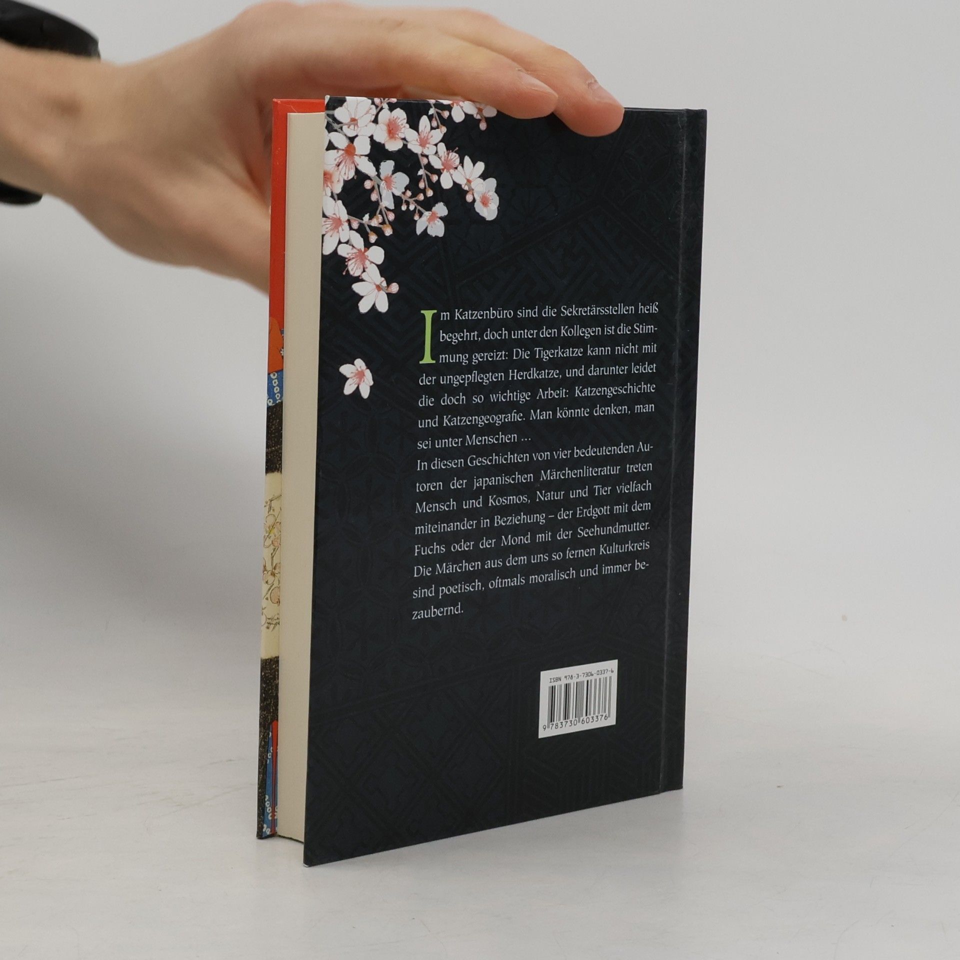 Noriko Ogita Japanische Märchen