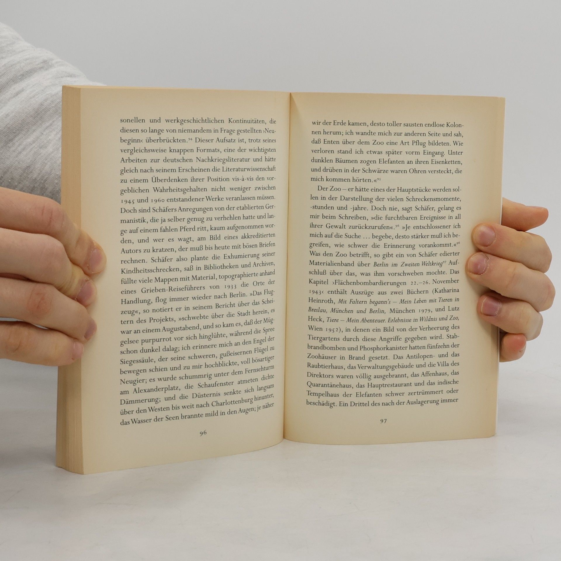 Winfried Georg Sebald Luftkrieg und Literatur