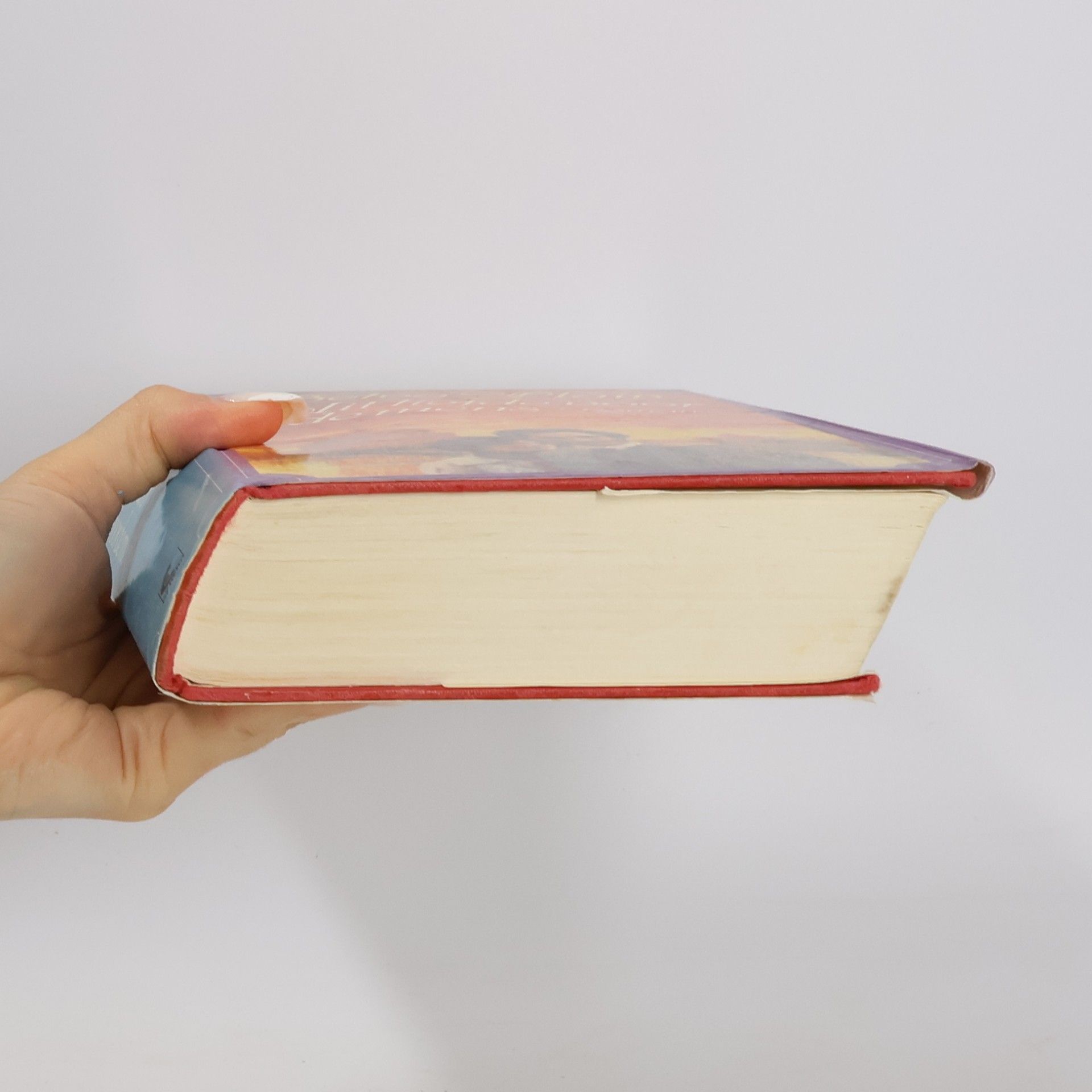 Belva Plain Uit liefde voor de mens