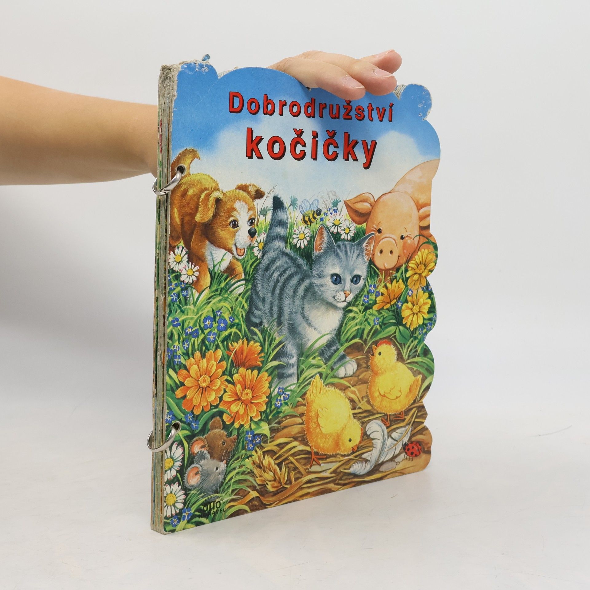 Linda Birkenshaw Dobrodružství kočičky