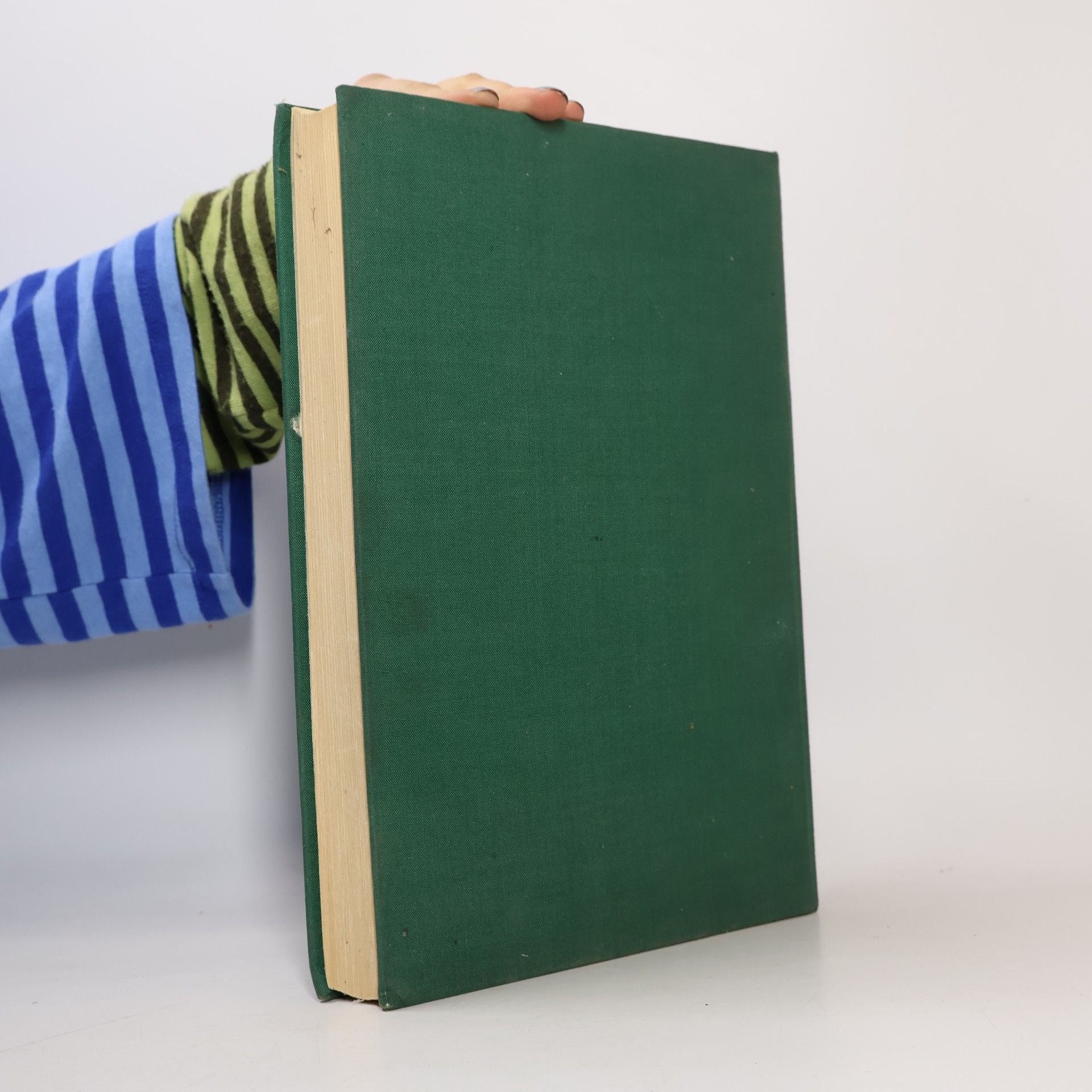 Jiří Felix Das grosse Vogelbuch in Farbe
