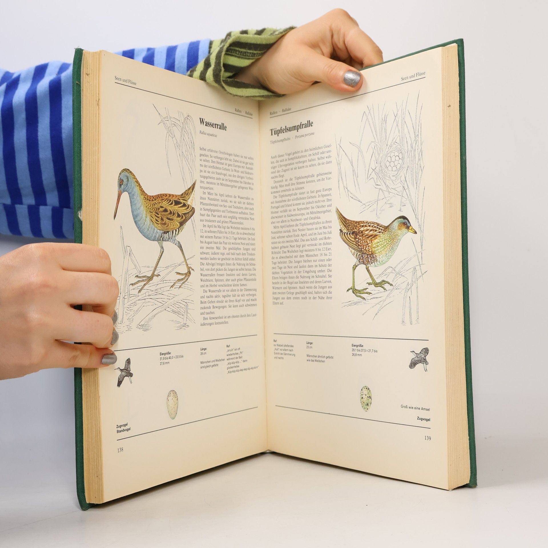 Jiří Felix Das grosse Vogelbuch in Farbe