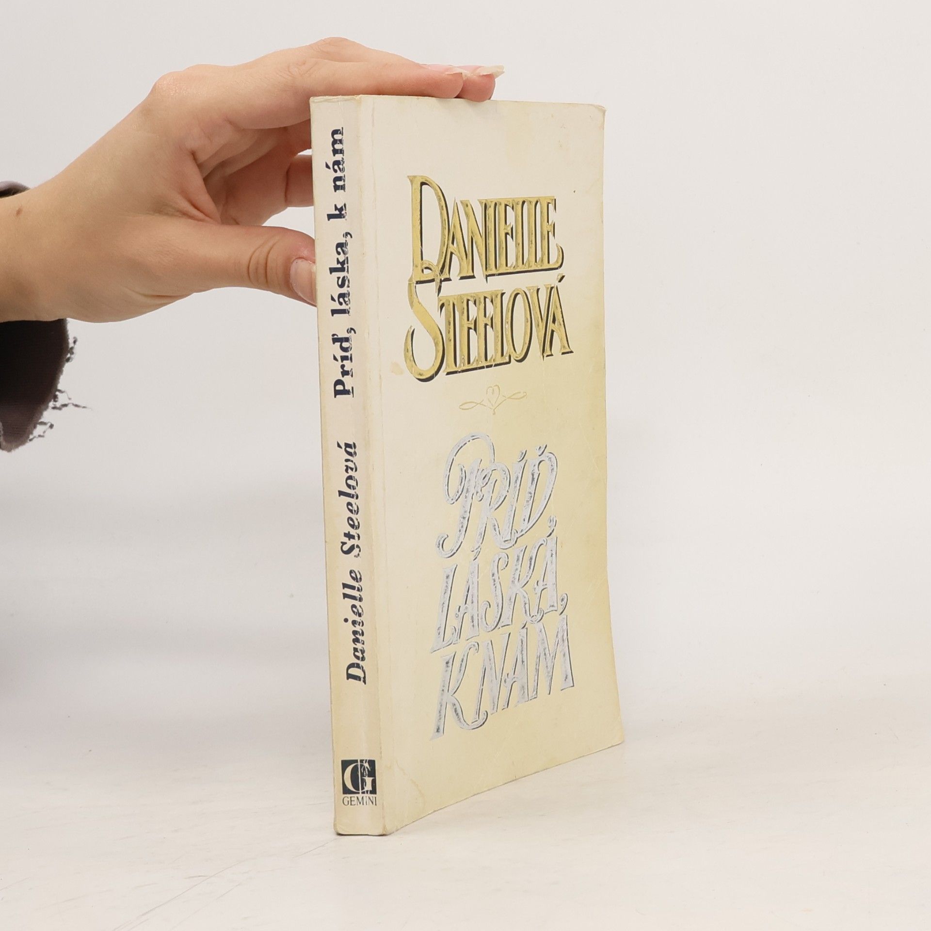 Danielle Steel Príď, láska k nám
