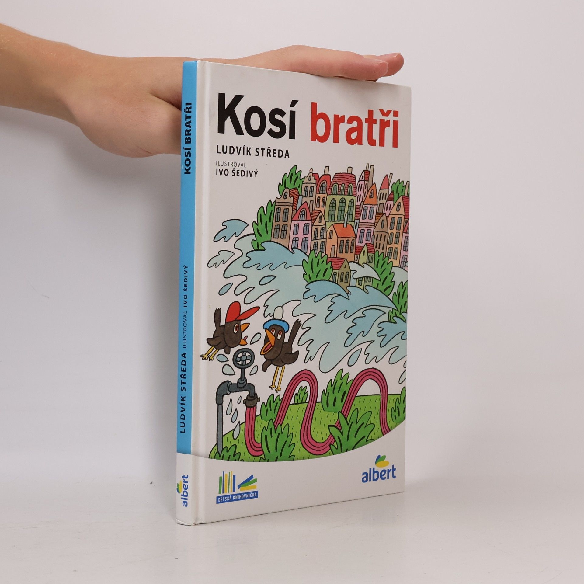 Ludvík Středa Kosí bratři
