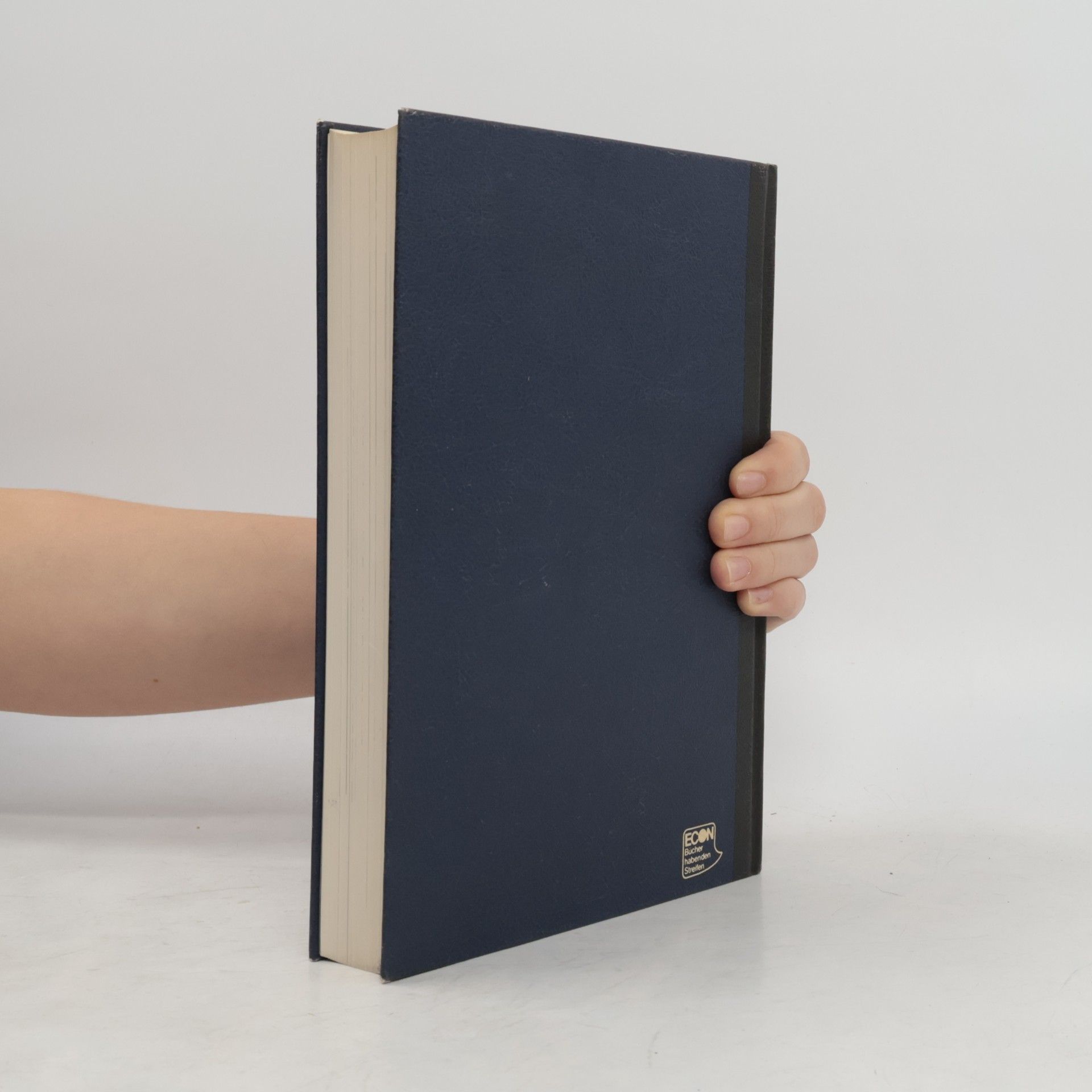 Various authors Das Reich der Magie 1