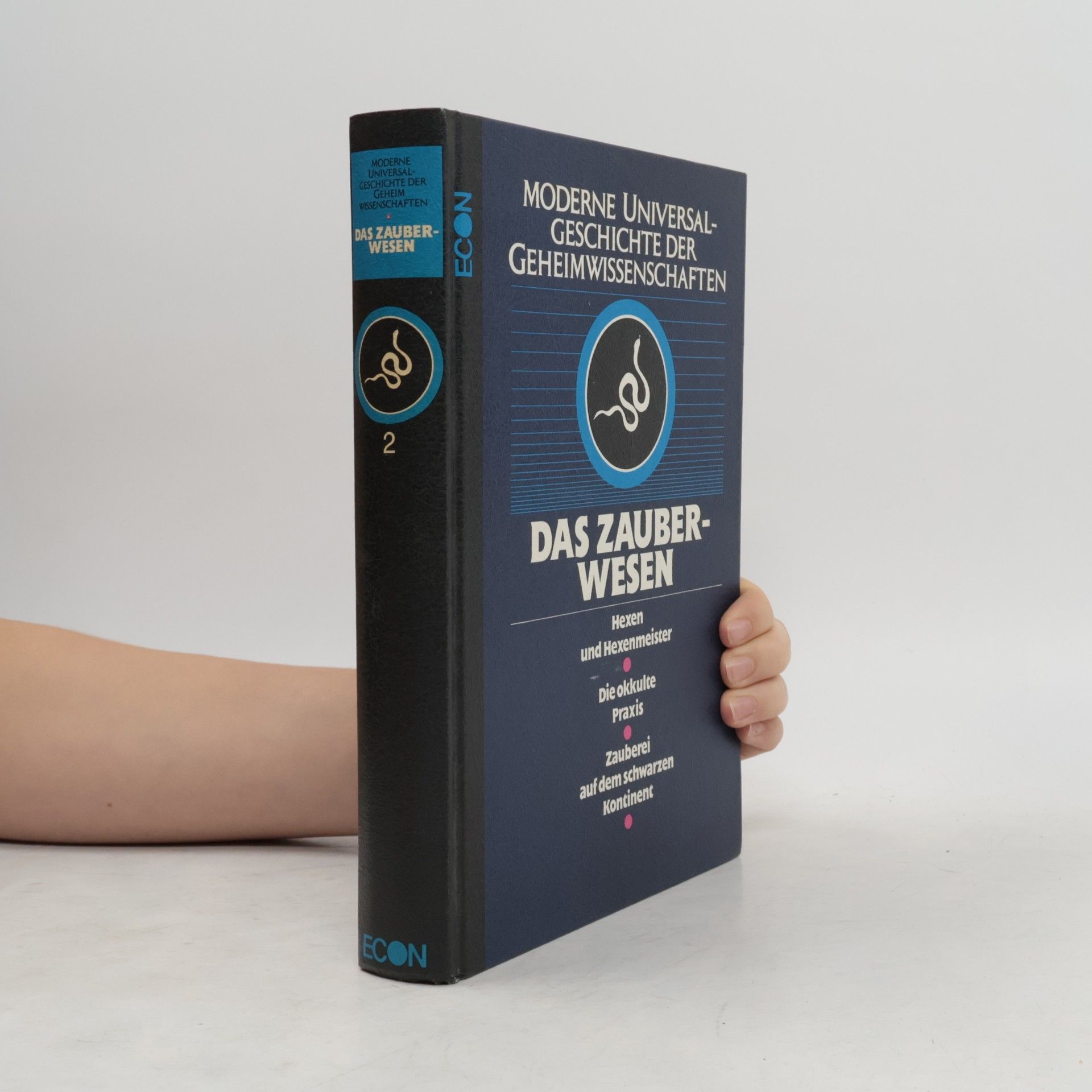 Moderne Universal-Geschichte der Geheimwissenschaften: Das Zauberwesen