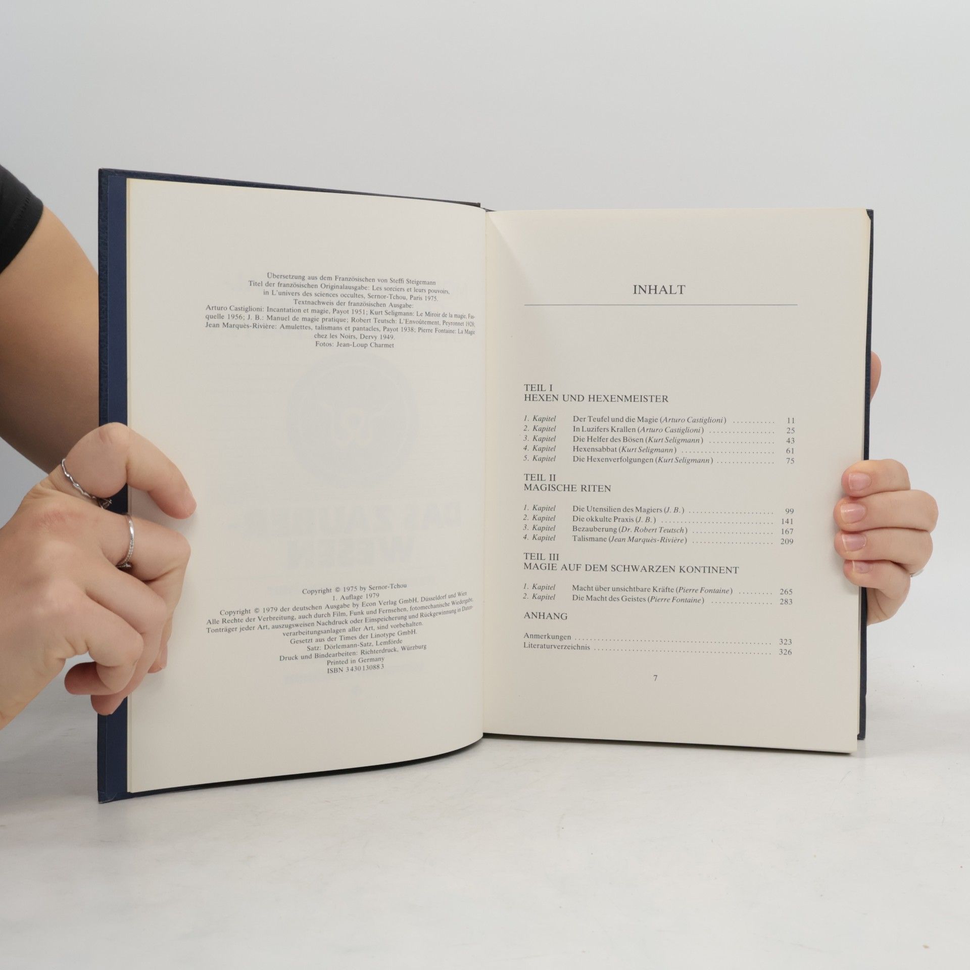 Steffi Steigemann Moderne Universal-Geschichte der Geheimwissenschaften: Das Zauberwesen