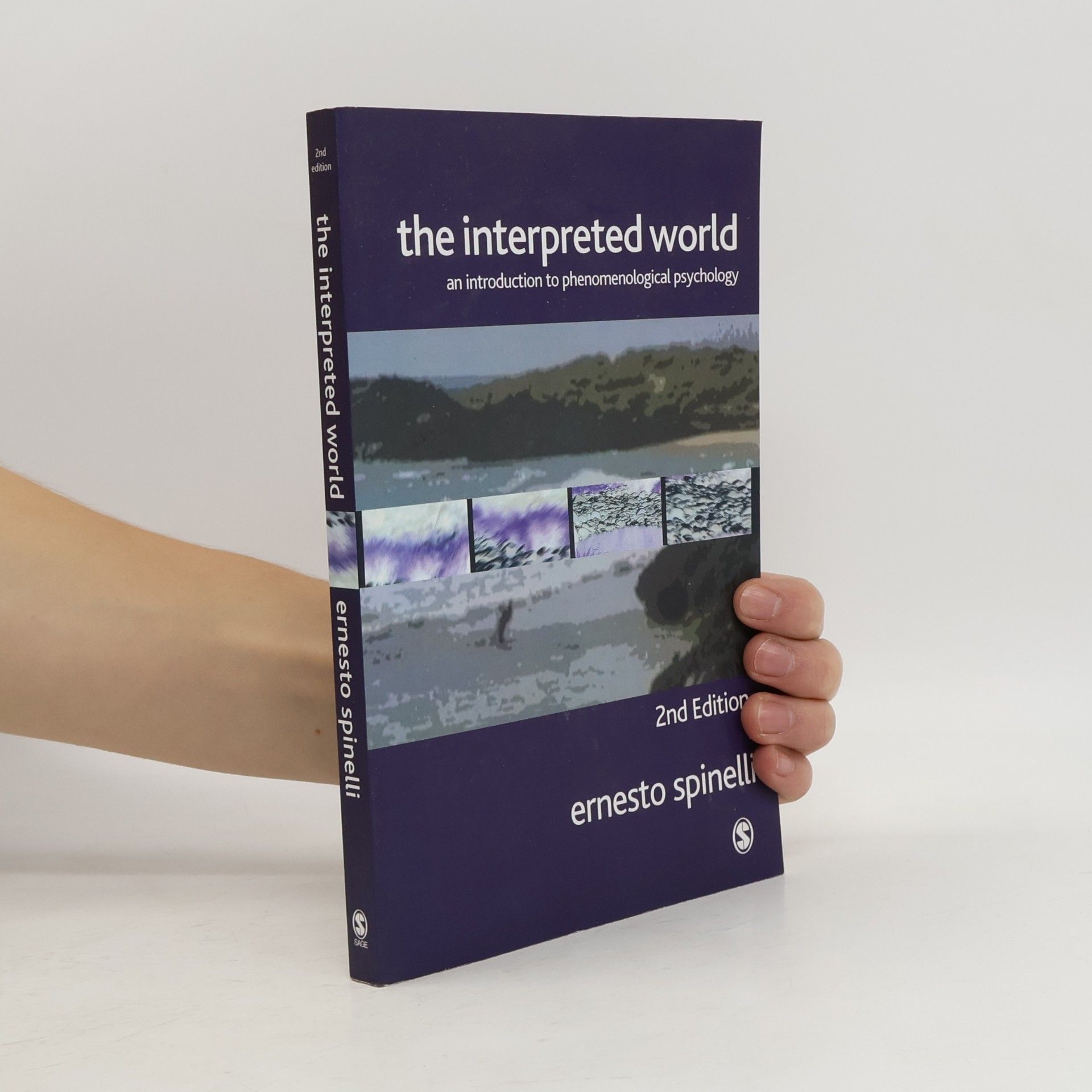Ernesto Spinelli The Interpreted World