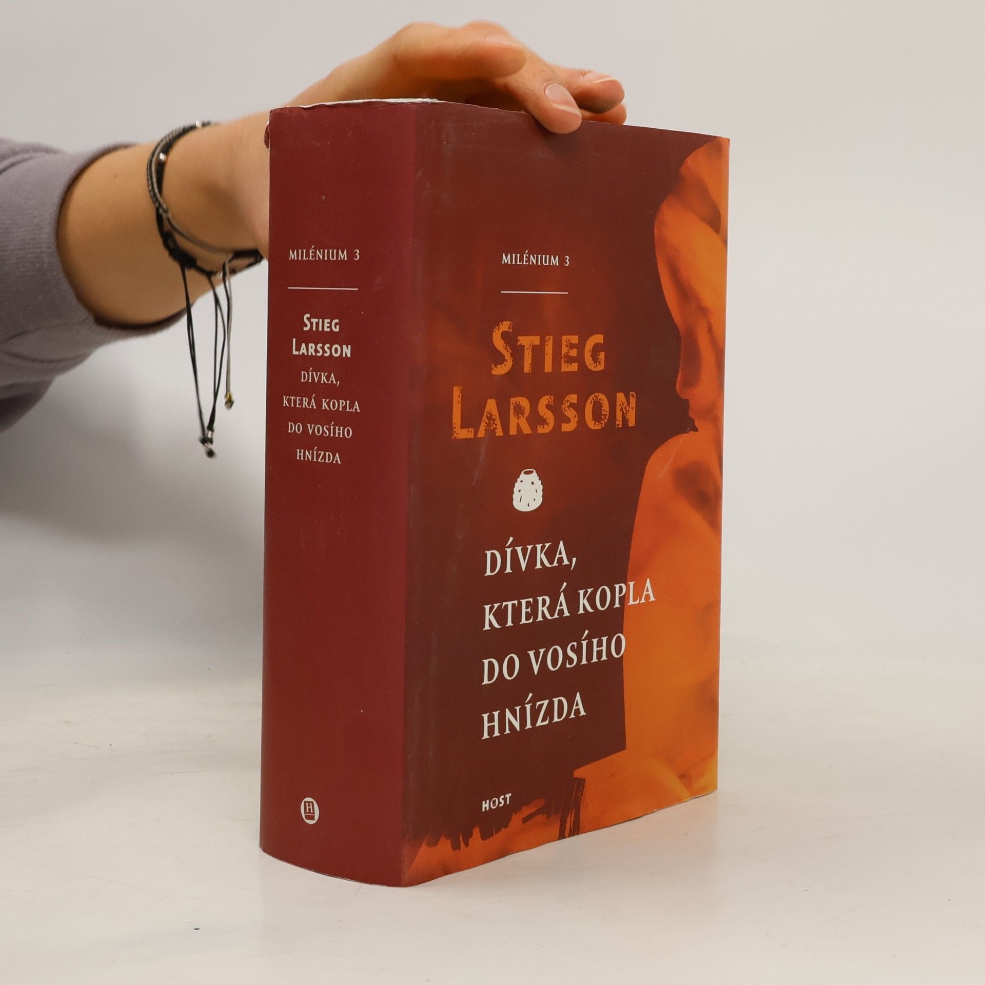 Stieg Larsson Dívka, která kopla do vosího hnízda