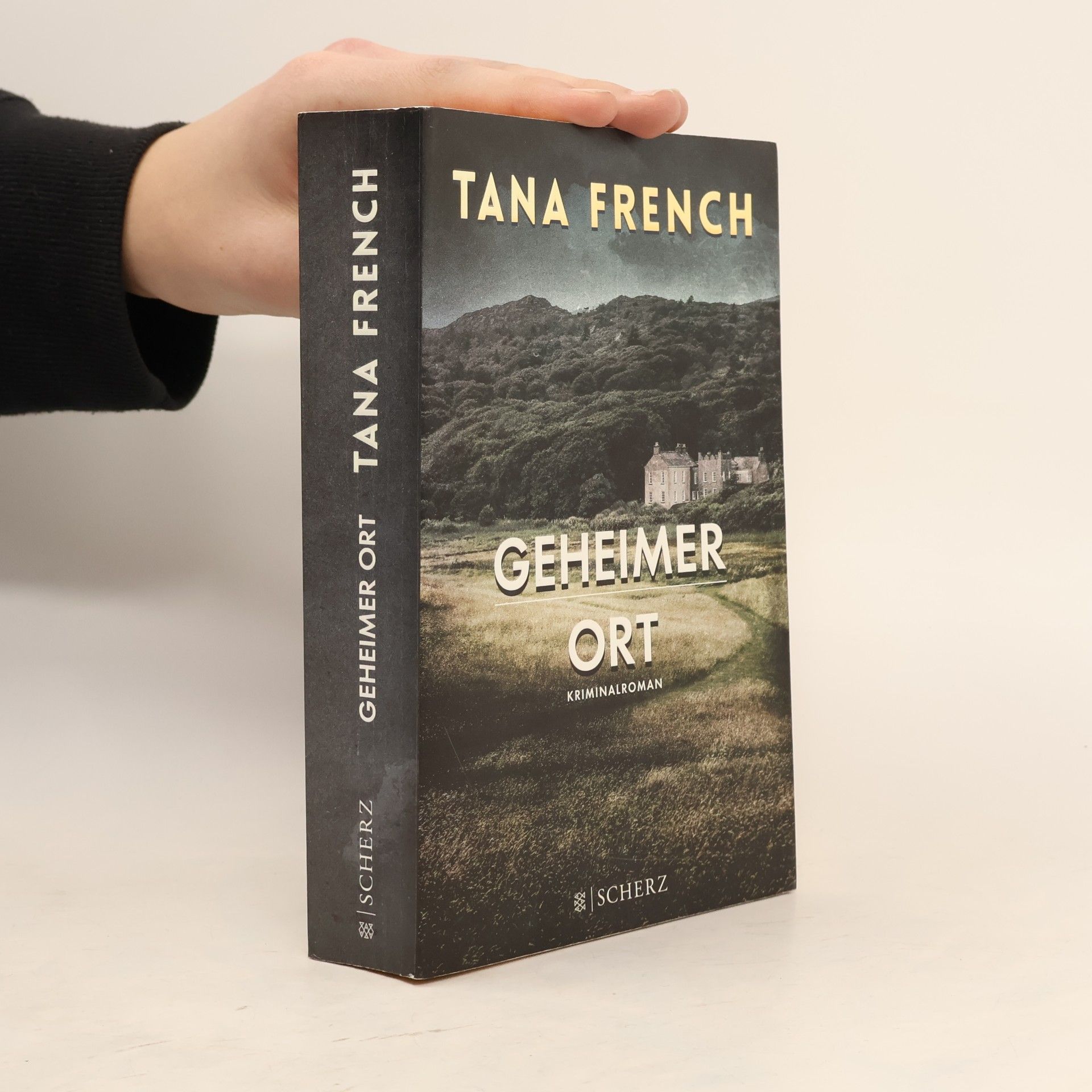 Tana French Geheimer Ort