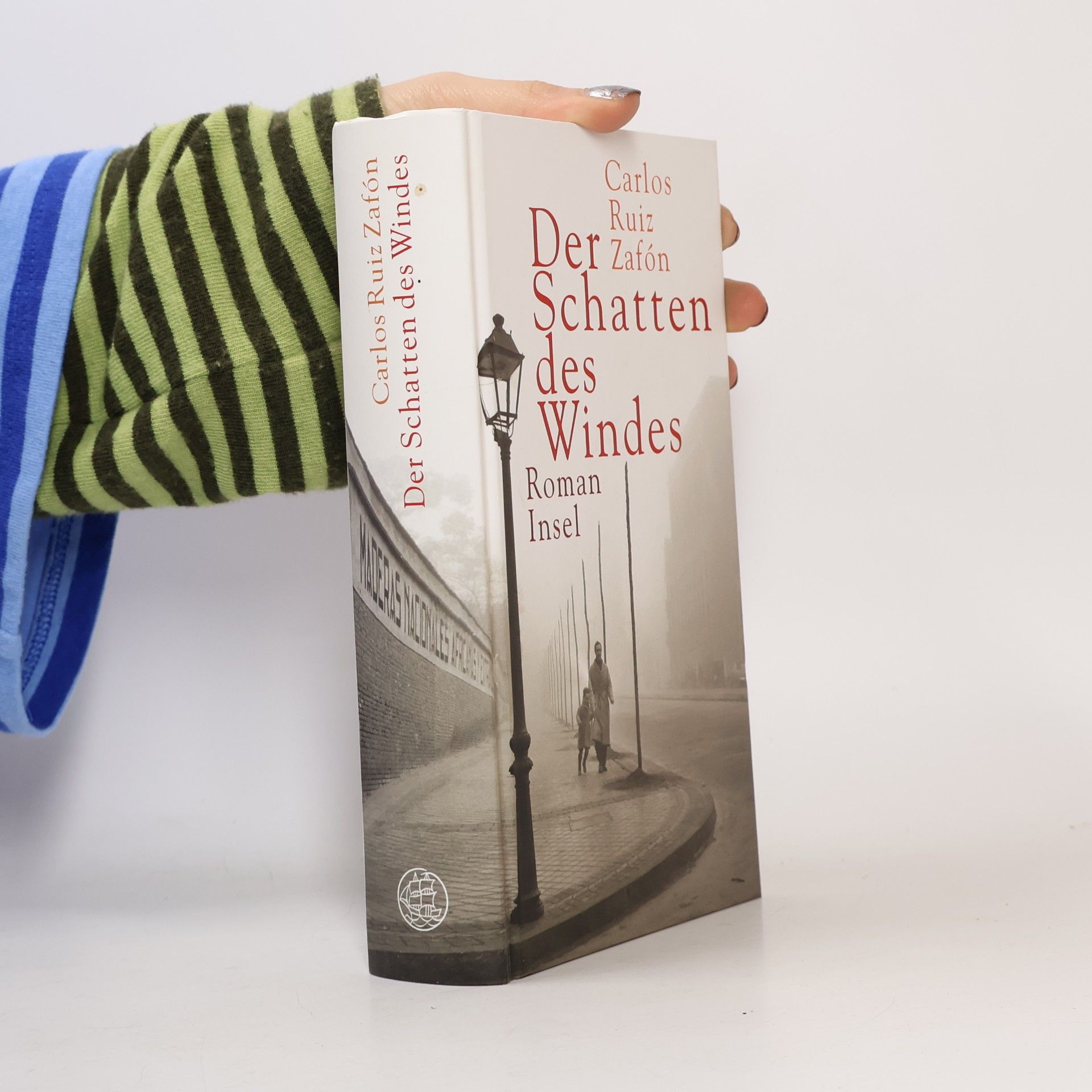Carlos Ruiz Zafón Der Schatten des Windes