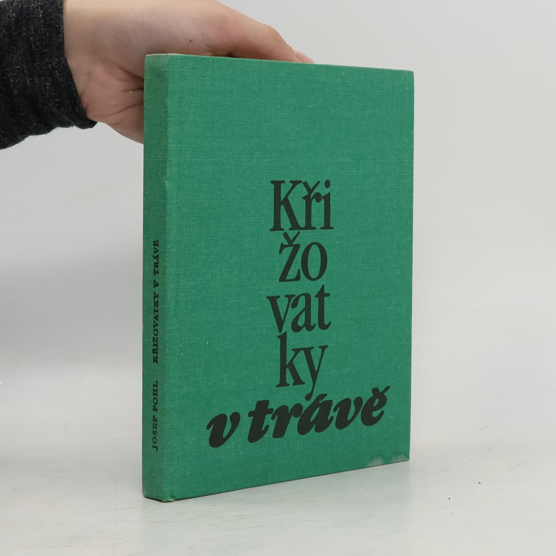 Josef Pohl Křižovatky v trávě