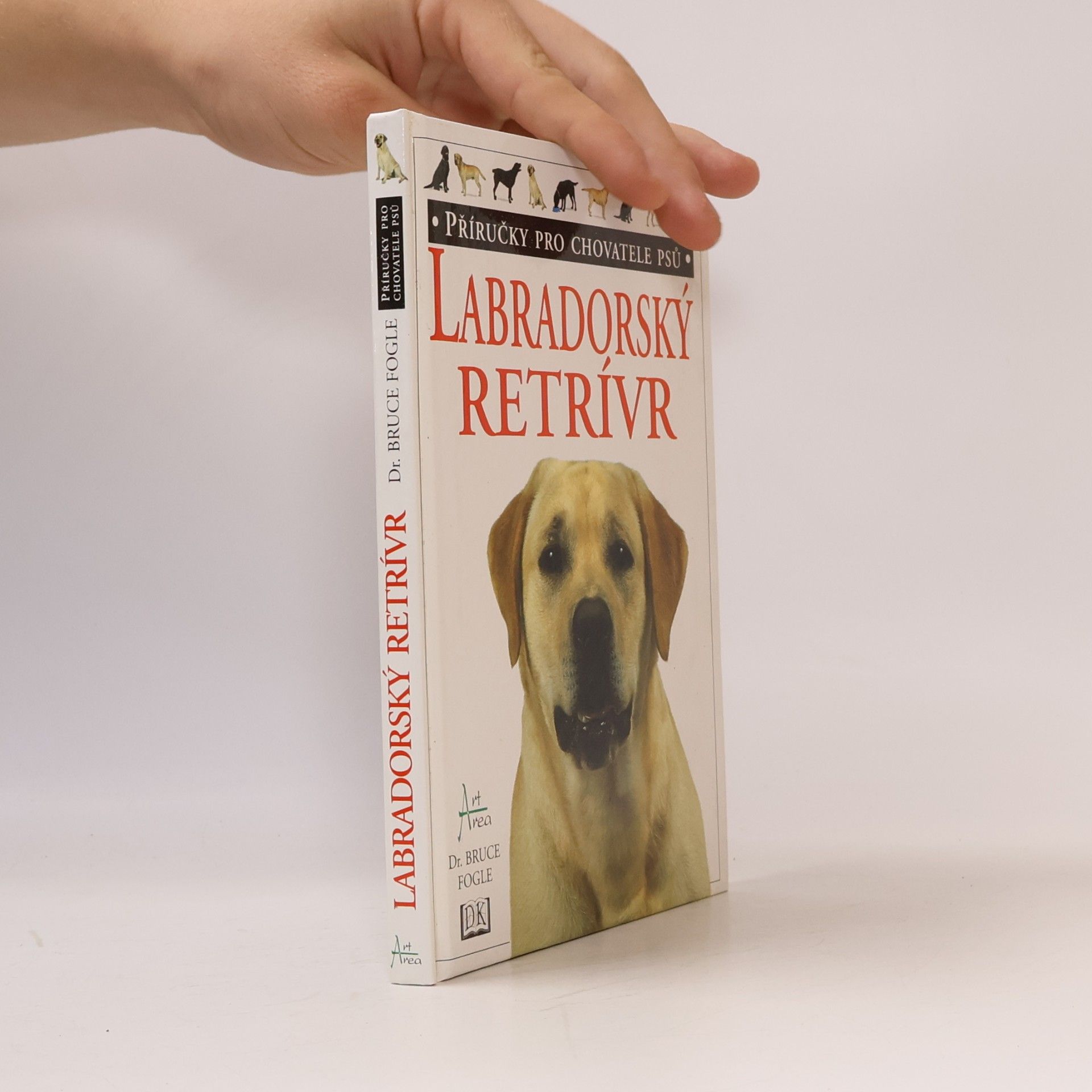 Labradorský retrívr
