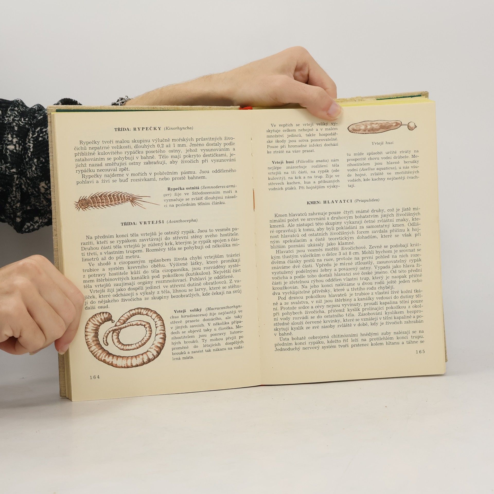 Autorenkollektiv Světem zvířat V. (1.část)