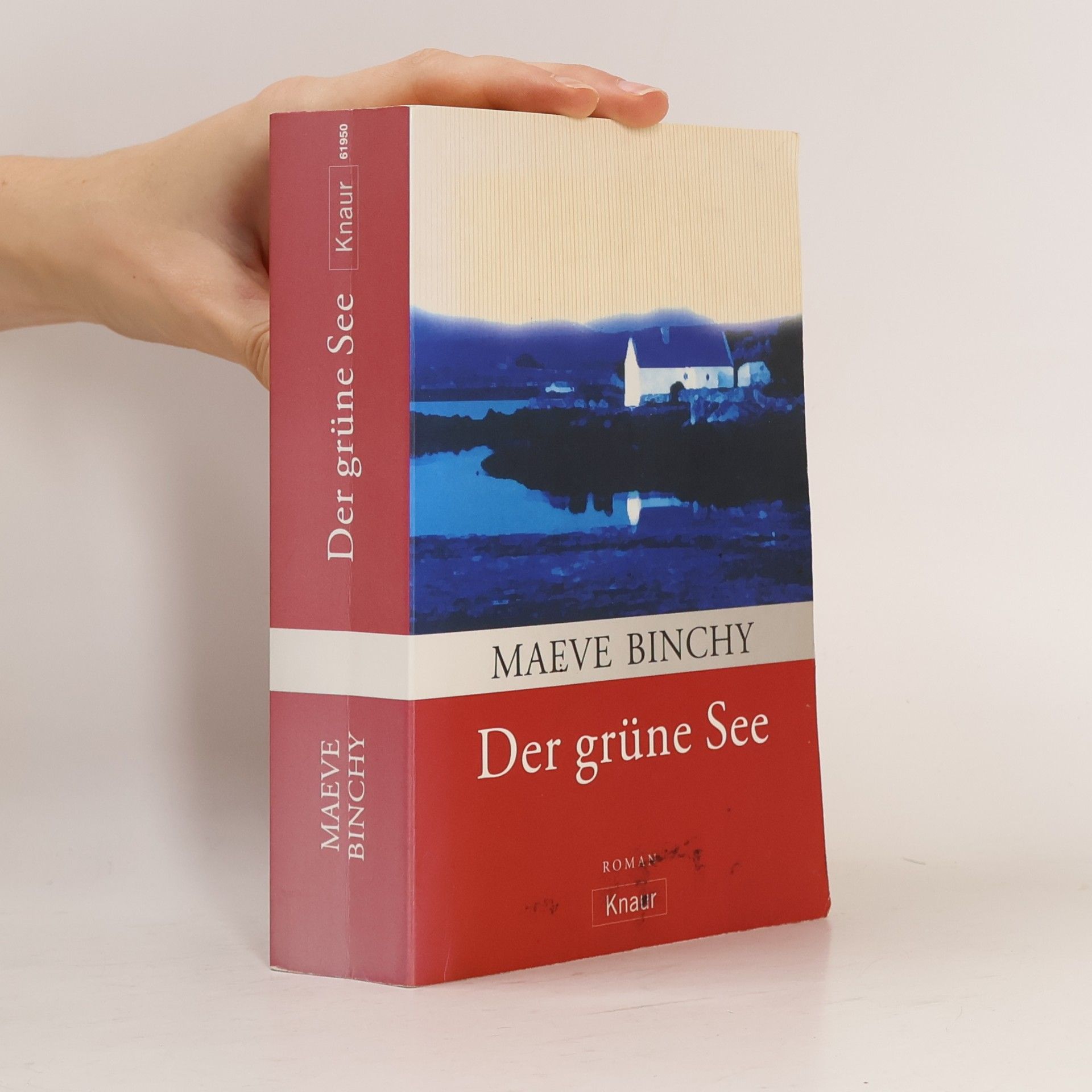 Maeve Binchy Der grüne See