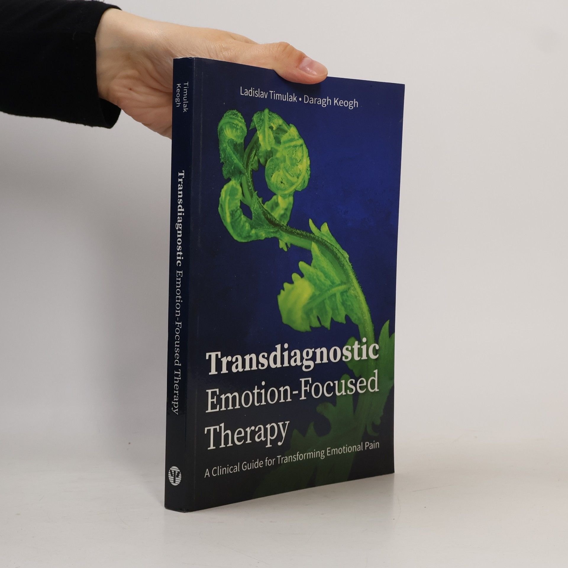 Daragh Keogh Transdiagnostic Emotion-Focused Therapy