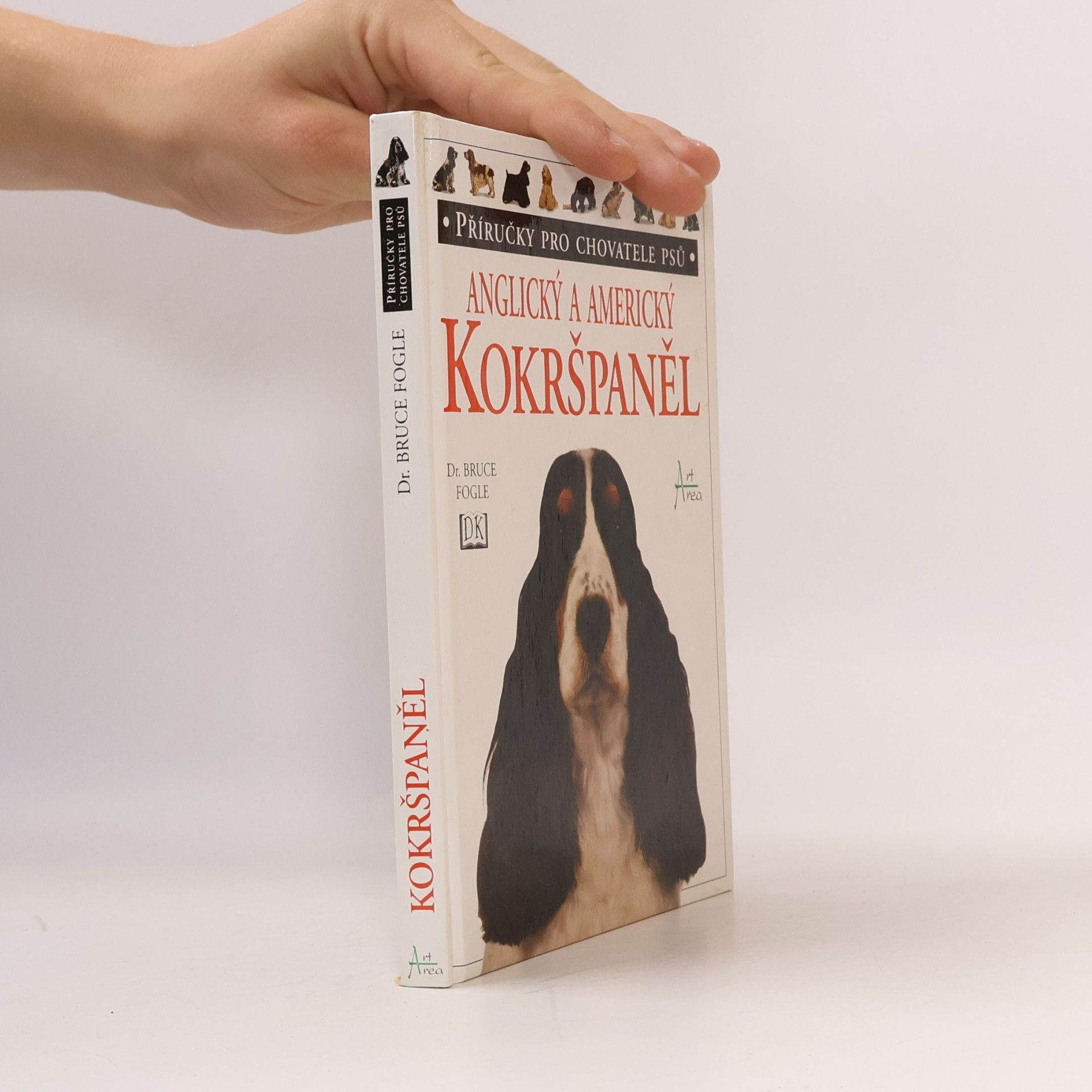 Anglický a americký kokršpaněl