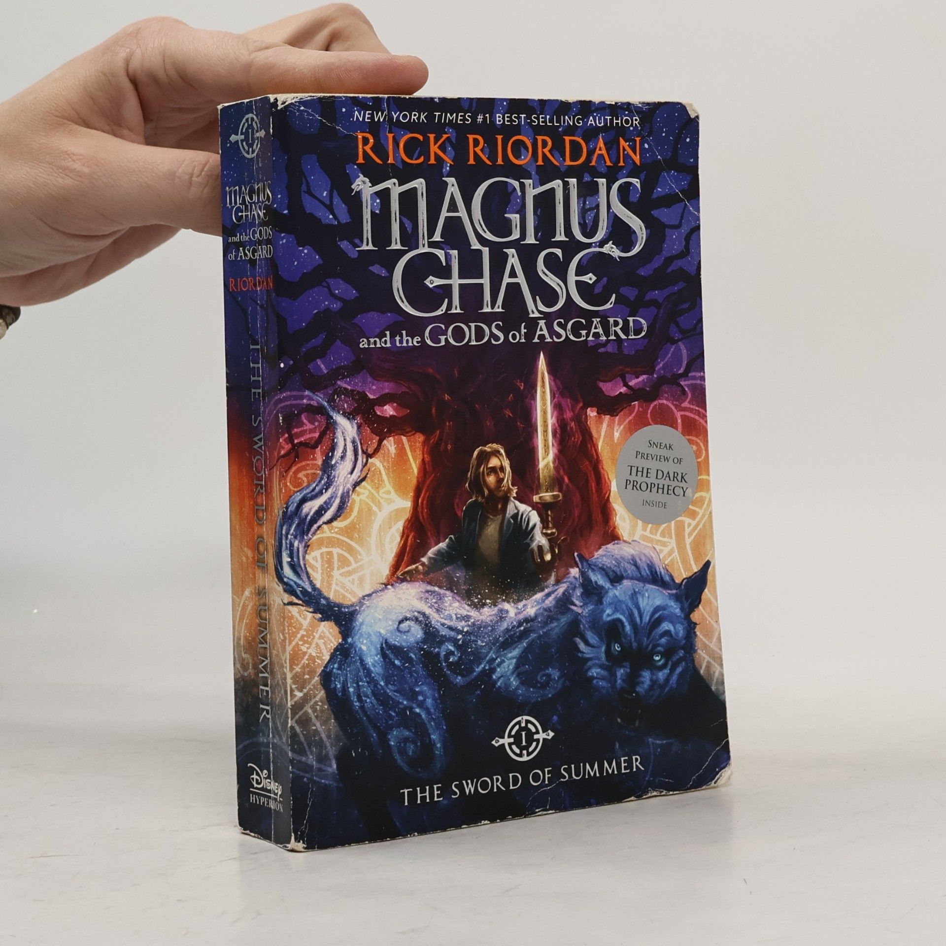 Rick Riordan Magnus Chase and the Gods of Asgard Book 1 The Sword of Summer (Magnus Chase and the Gods of Asgard Book 1)