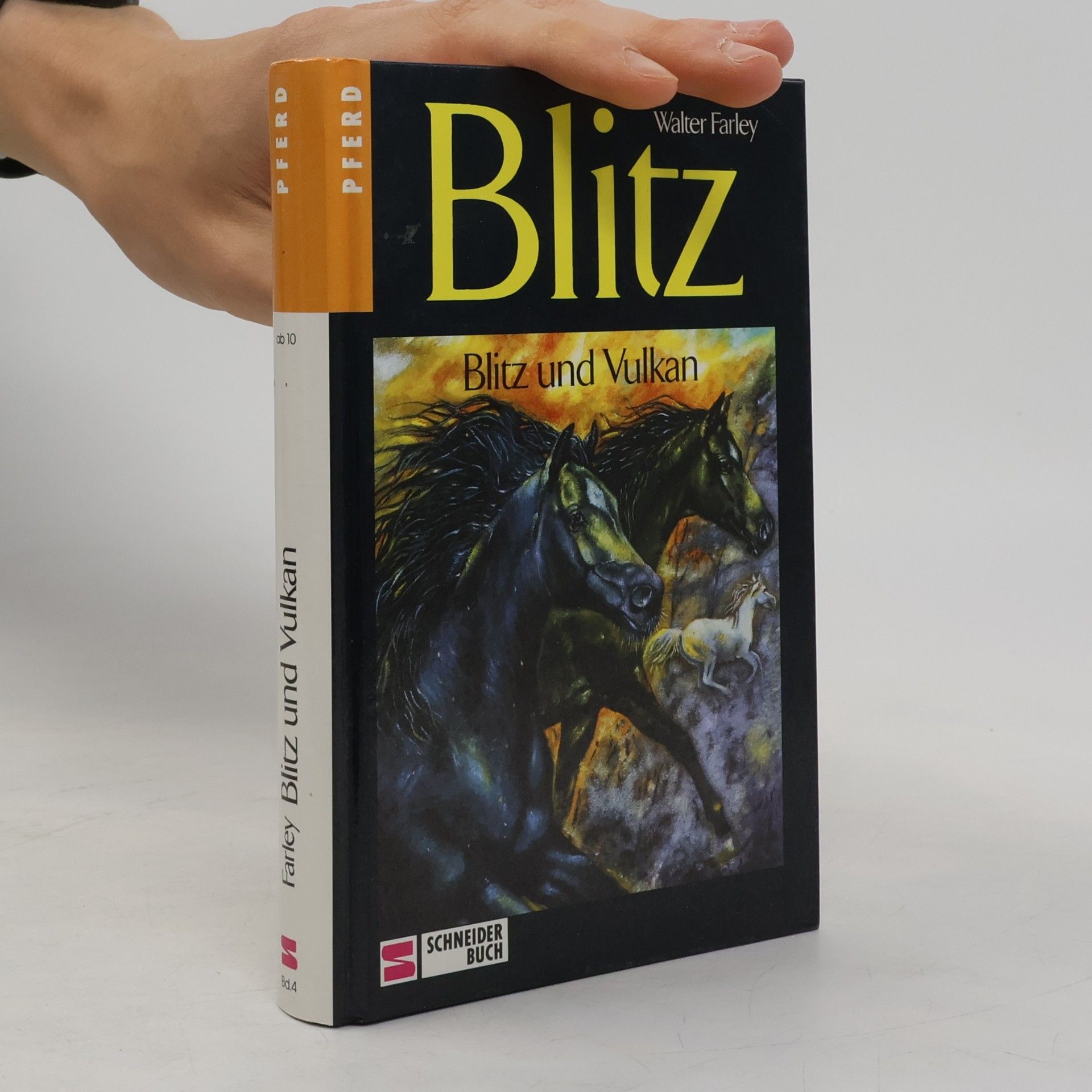 Walter Farley Blitz und Vulkan
