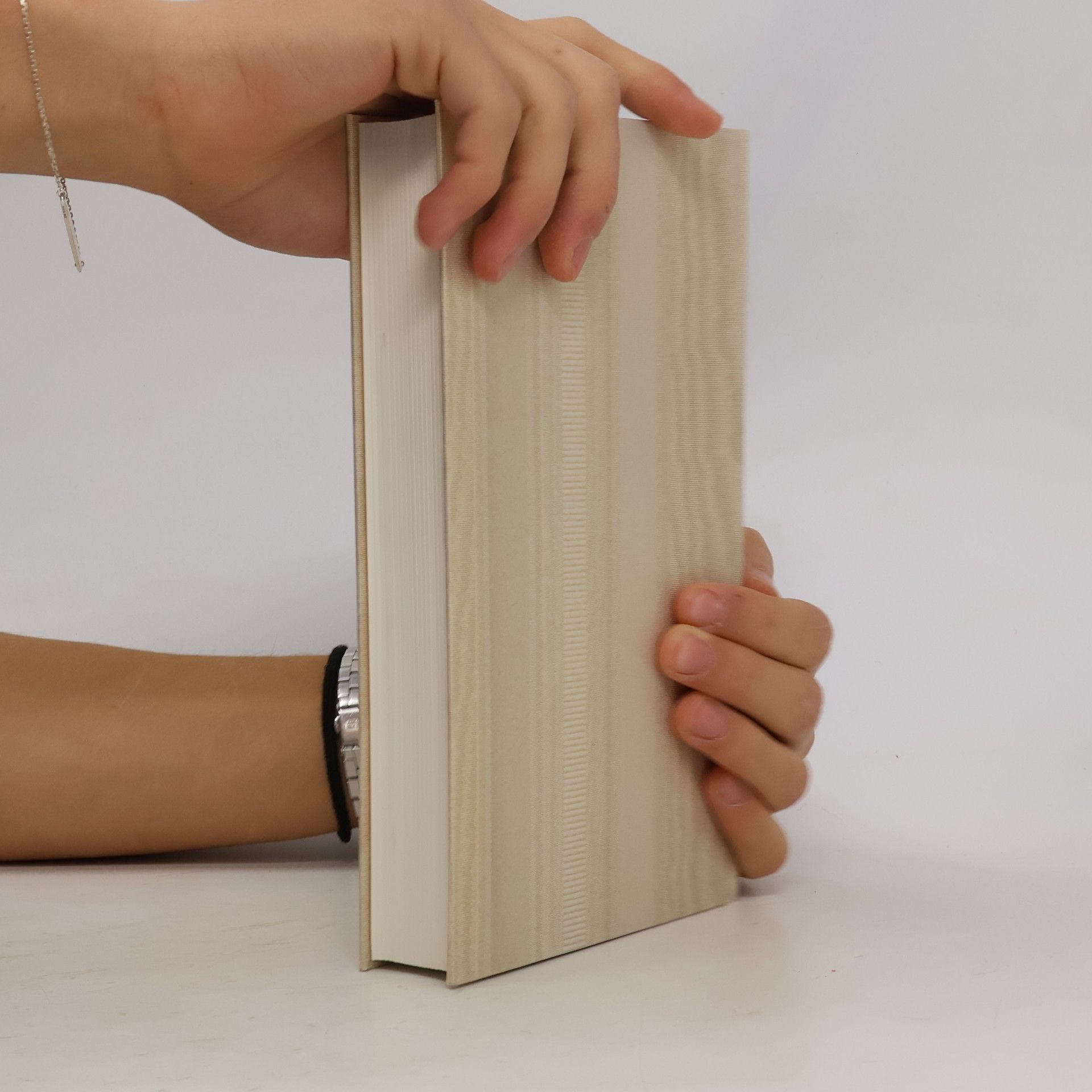 Gilles Rozier Die Andere Bibliothek - 334: Im Palast der Erinnerung