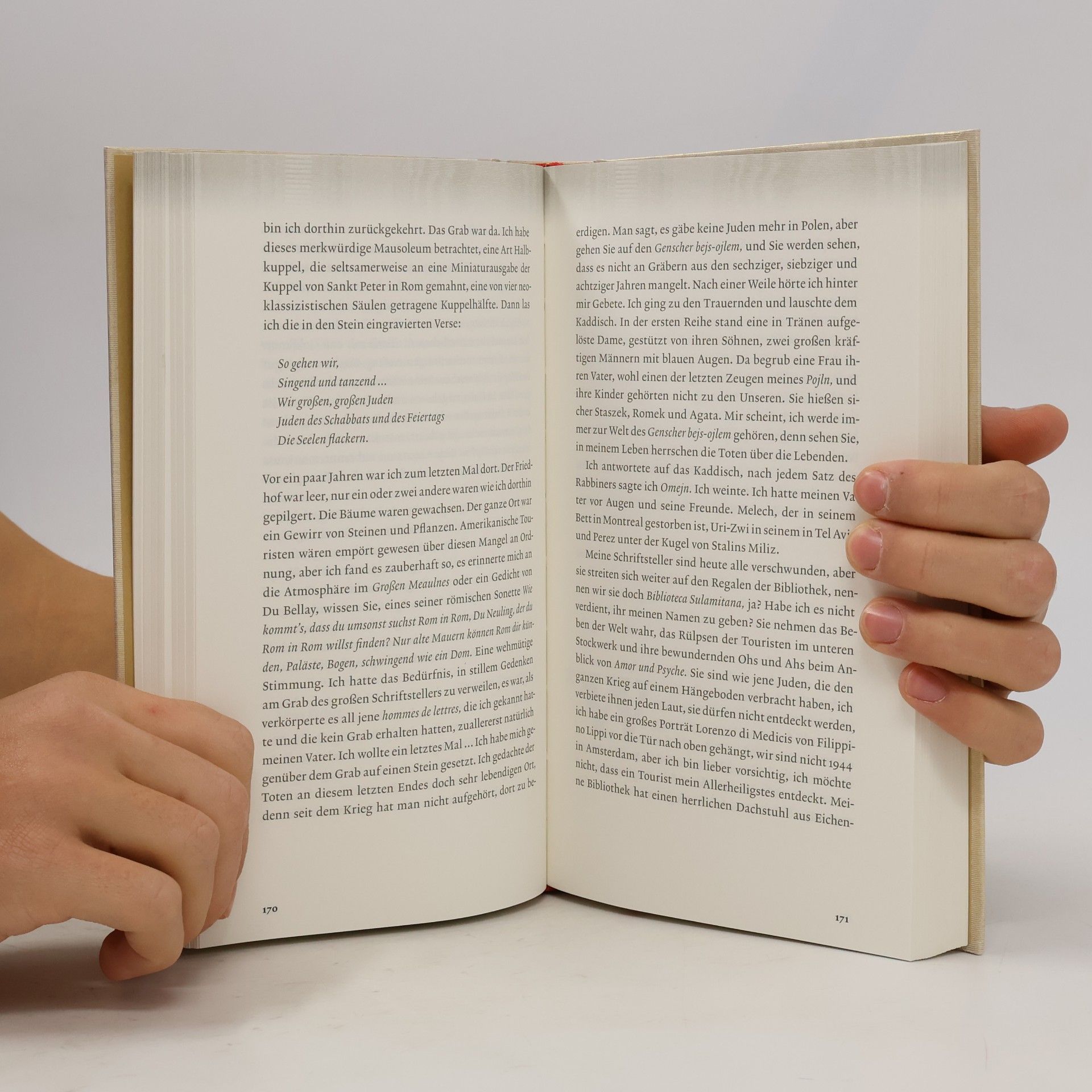Gilles Rozier Die Andere Bibliothek - 334: Im Palast der Erinnerung