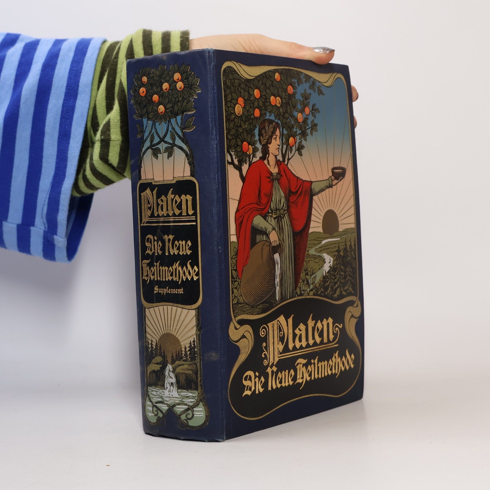 Supplement zu Platen, Die Neue Heilmethode