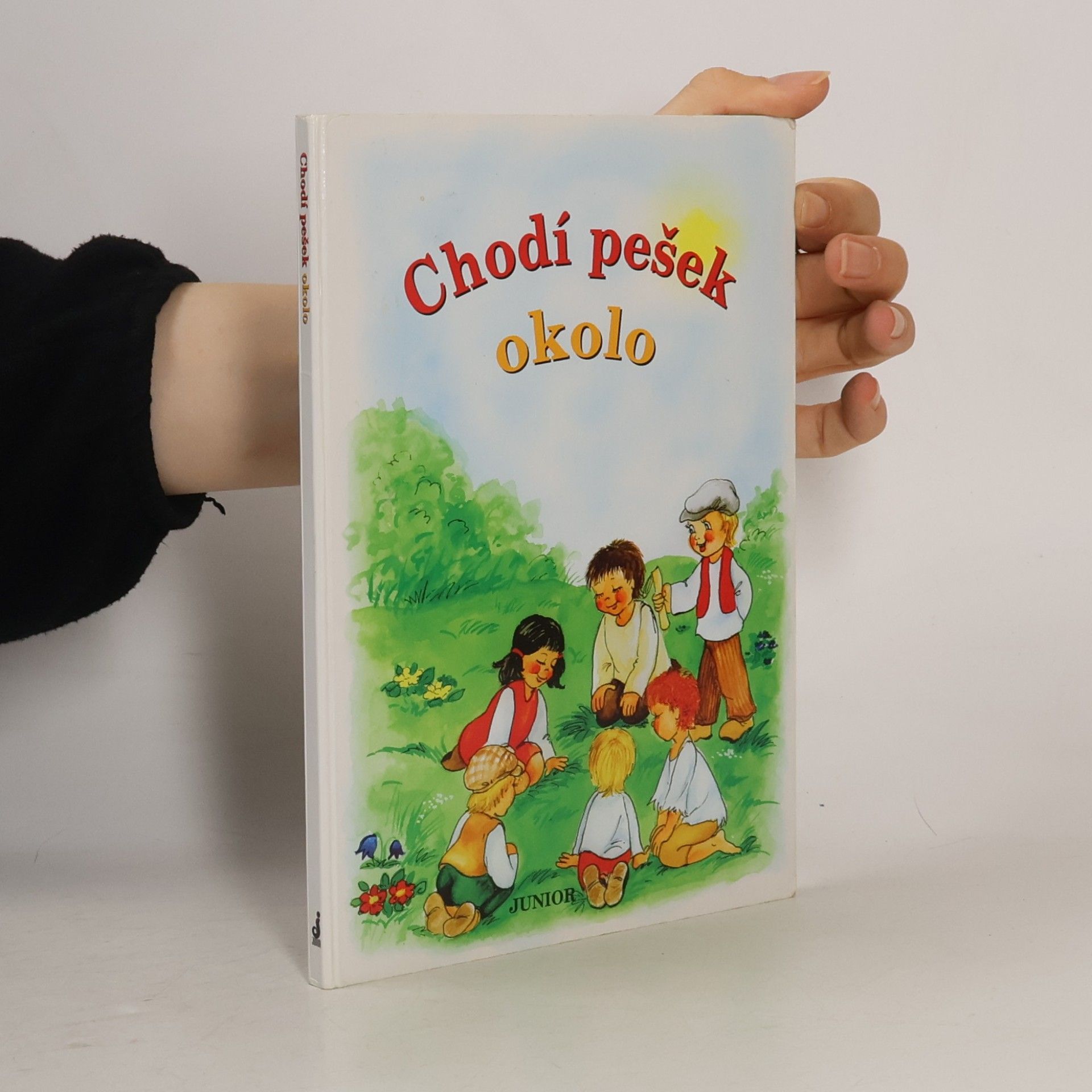 Vladimíra Vopičková Chodí pešek okolo (leporelo)