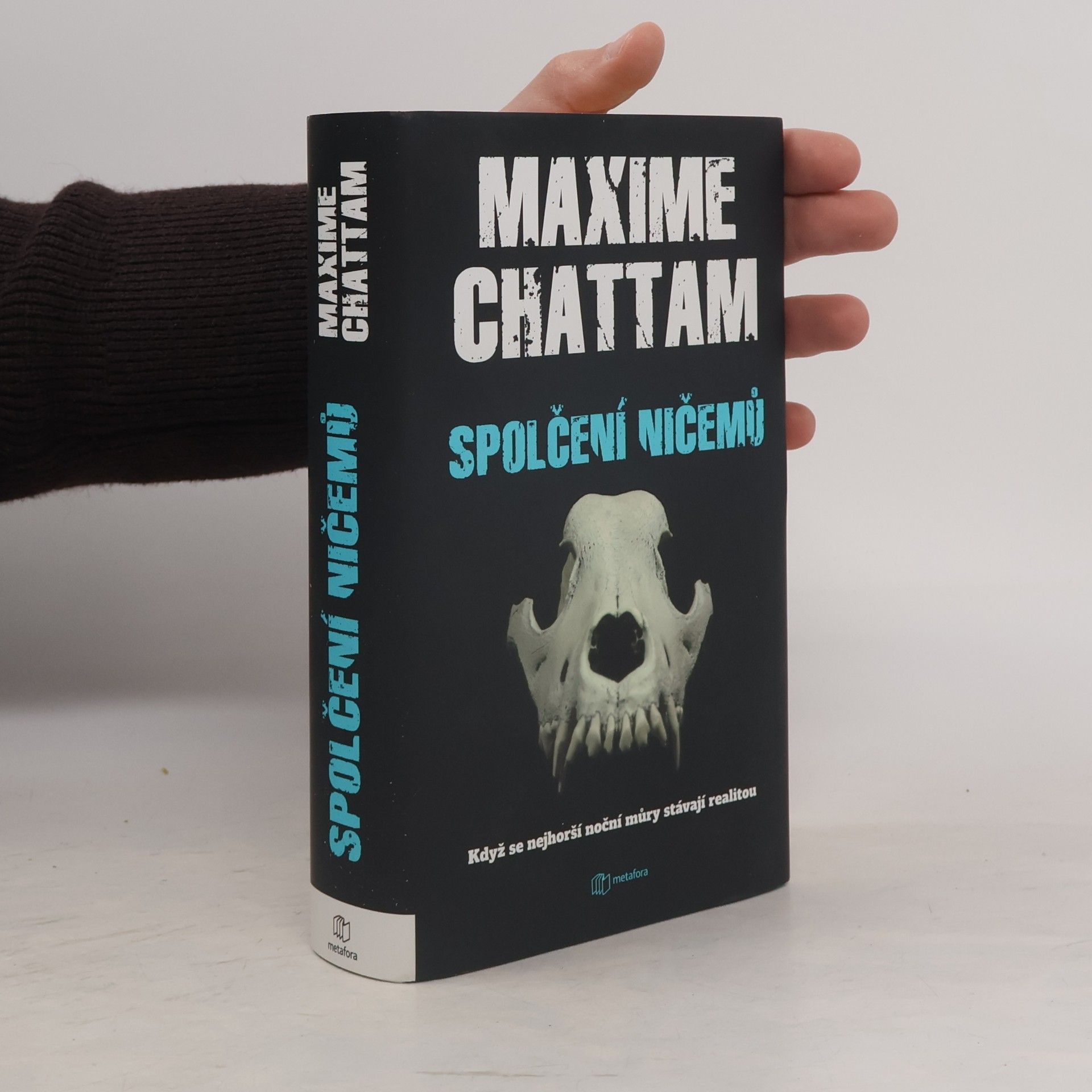 Maxime Chattam Spolčení ničemů