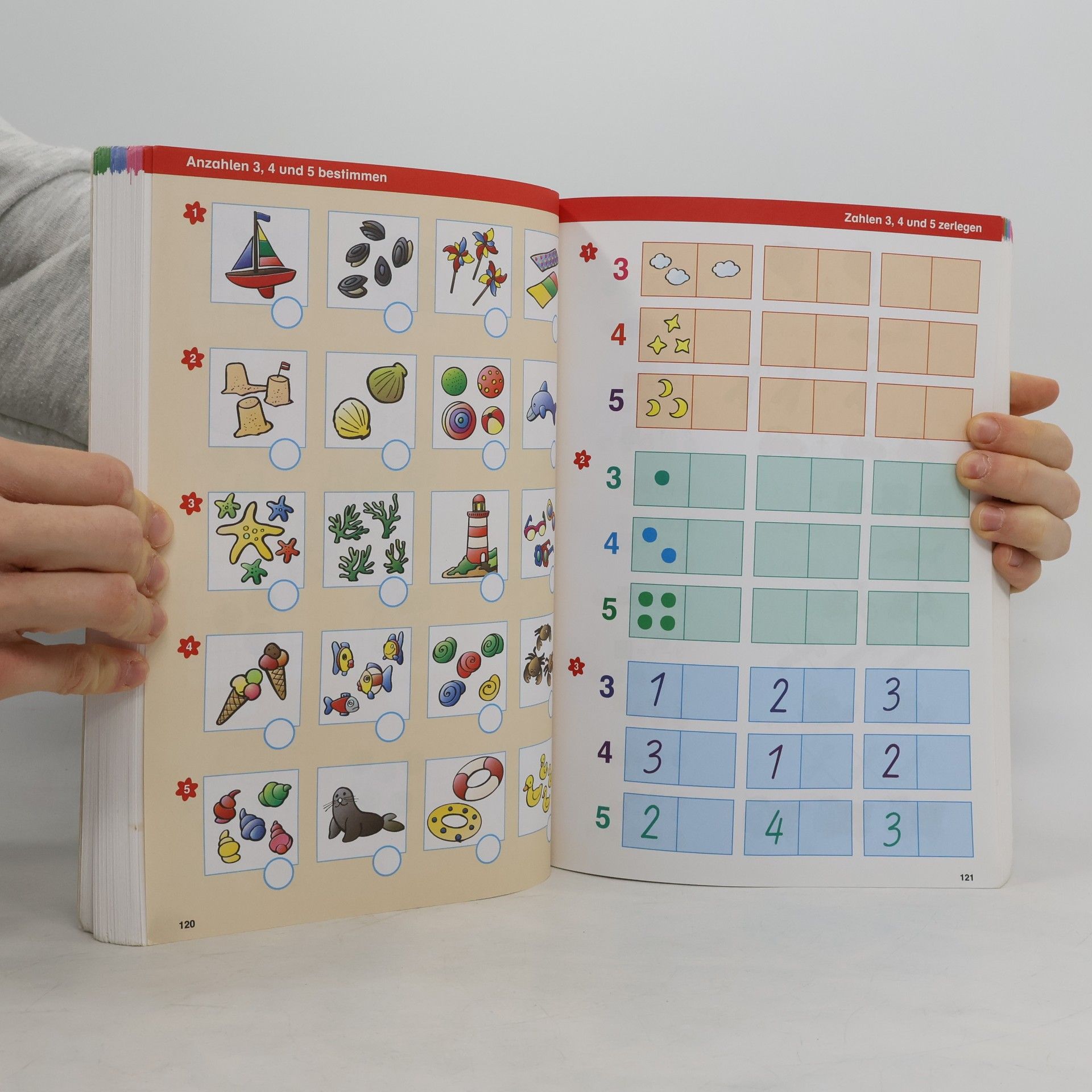 Peter Kohring Das große Grundschulbuch