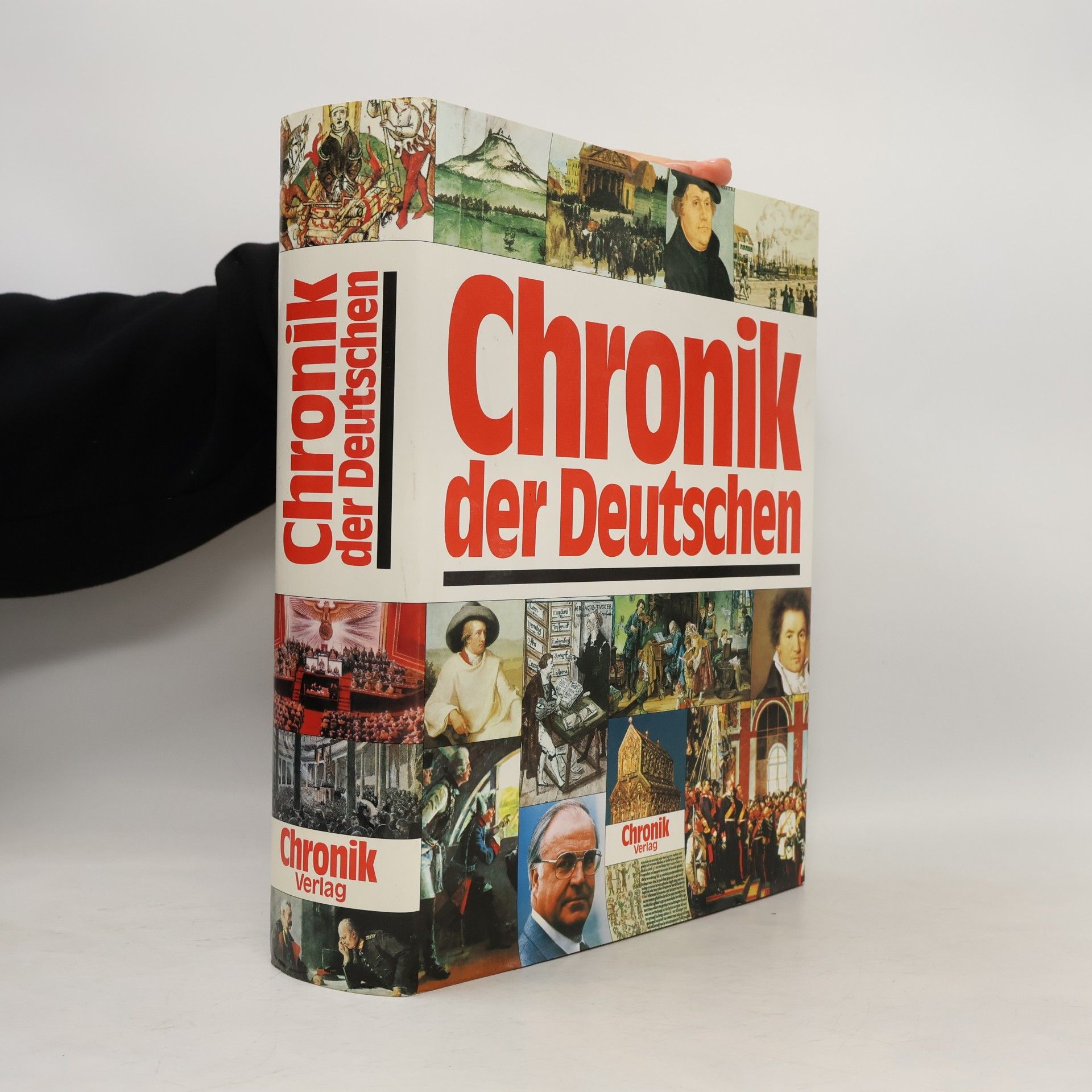 Brigitte Beier Chronik der Deutschen