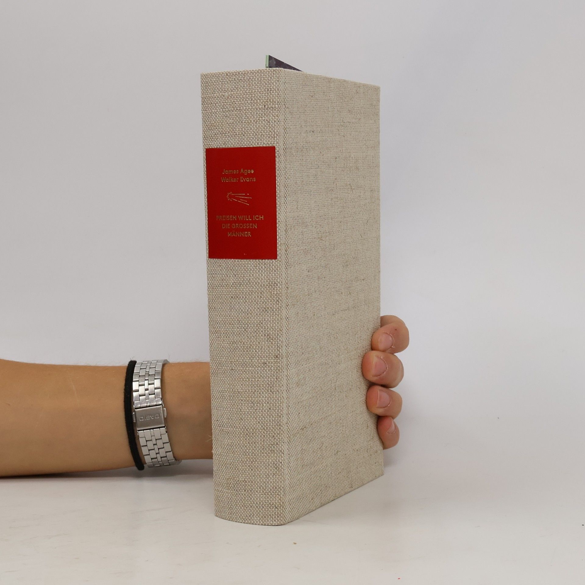 Die Andere Bibliothek - 344: Preisen will ich die großen Männer
