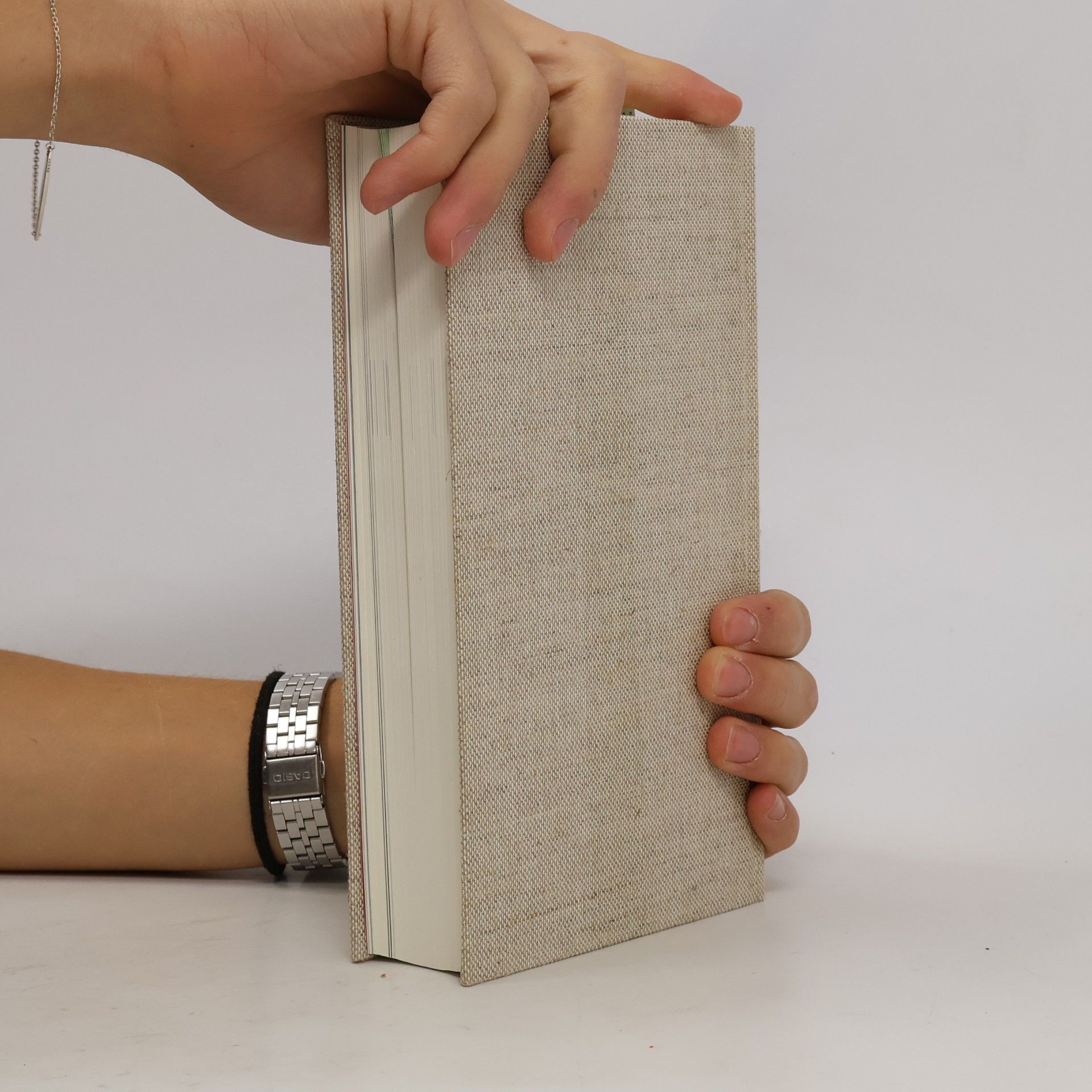 James Paul Gee Die Andere Bibliothek - 344: Preisen will ich die großen Männer