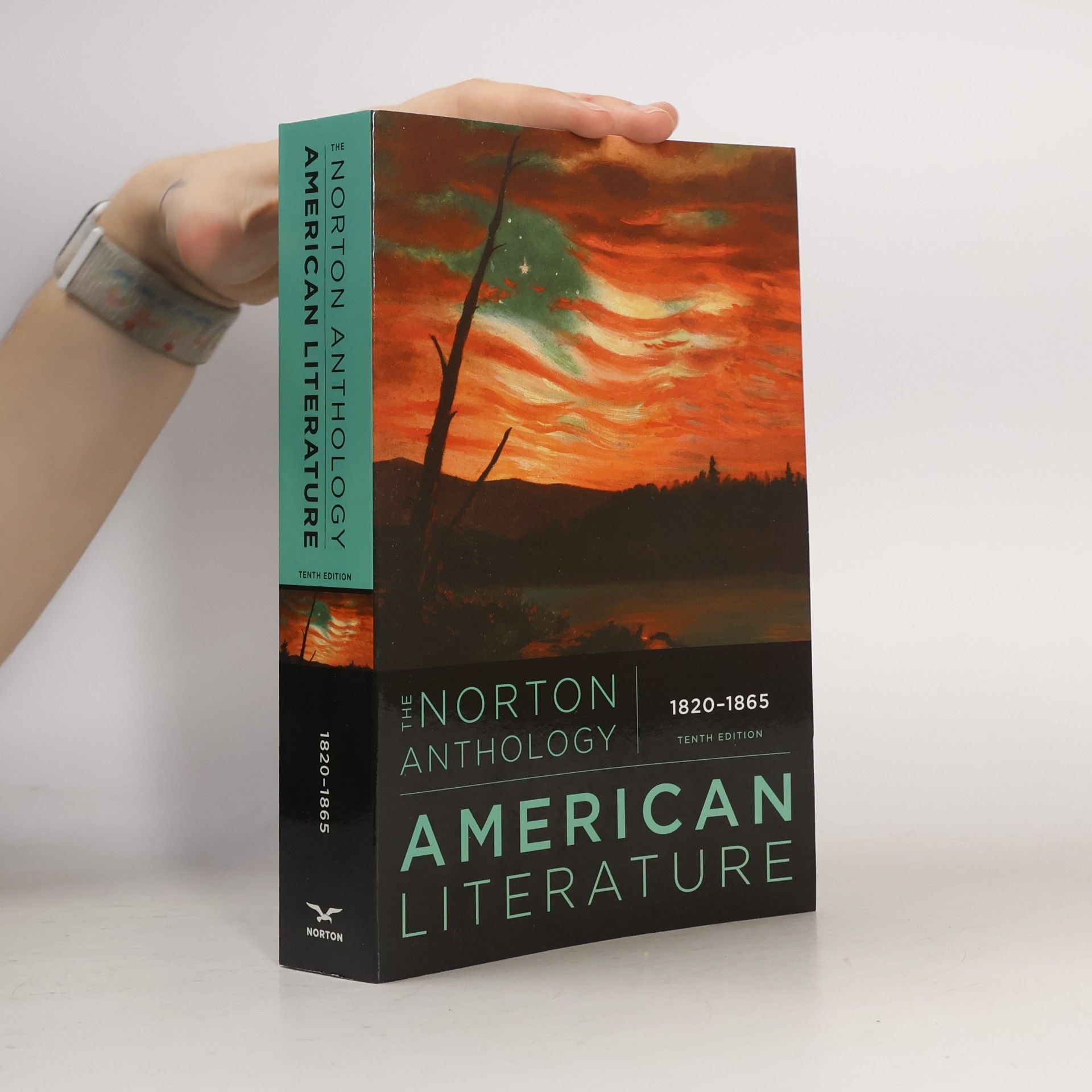 Lisa Siraganian Norton Anthology of American Literature