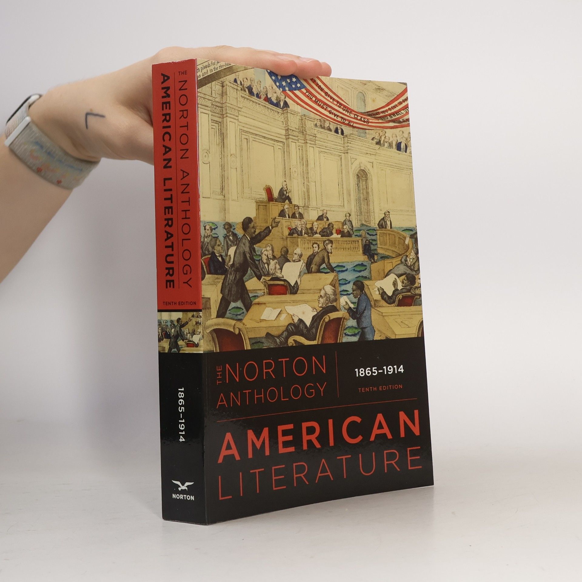 Lisa Siraganian Norton Anthology of American Literature