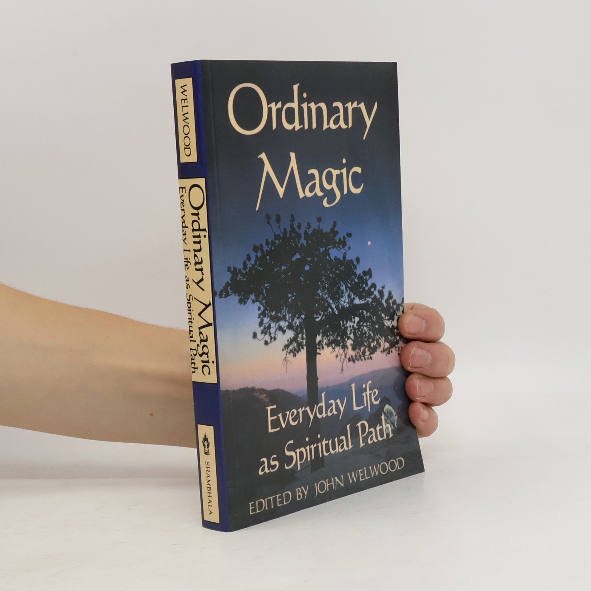 John Welwood Ordinary Magic
