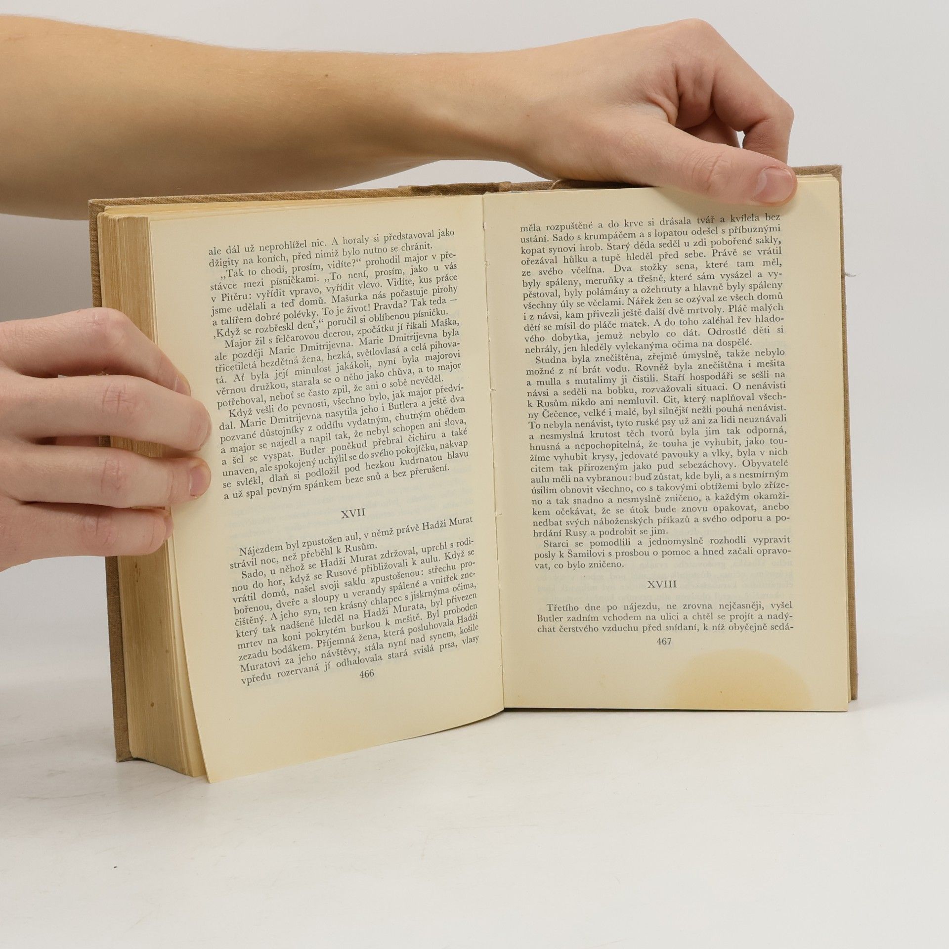 Lew Nikolajewitsch Tolstoi Po plese a jiné prózy