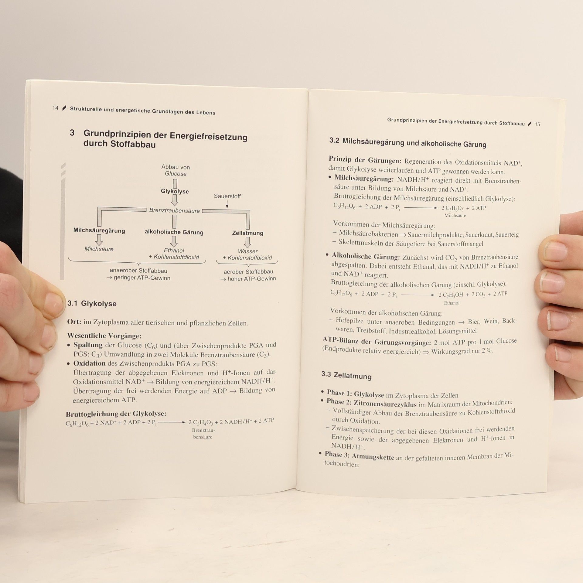 Autorenkollektiv Abitur Skript. Biologie.