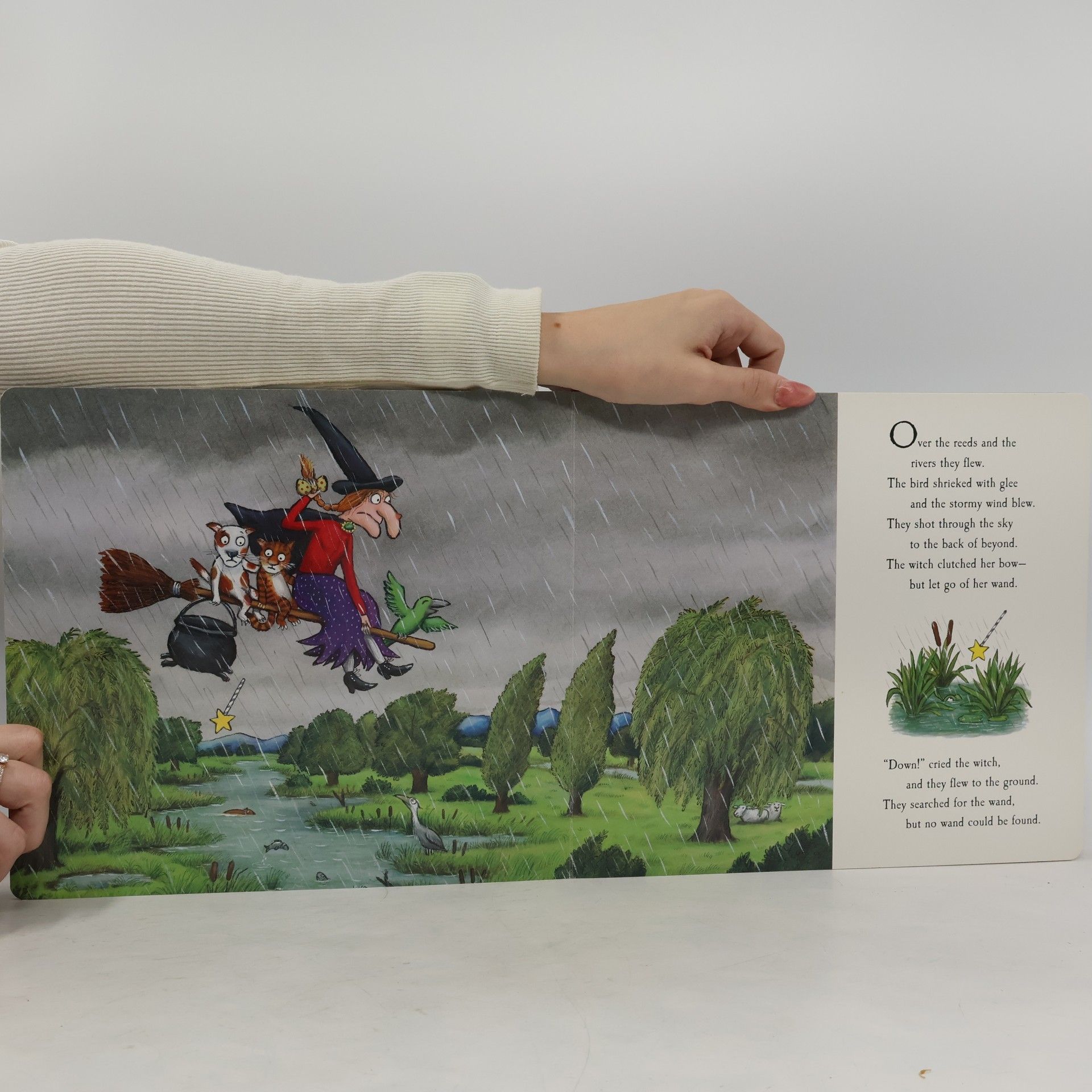 Julia Donaldson Room on the Broom Lap Board Book
