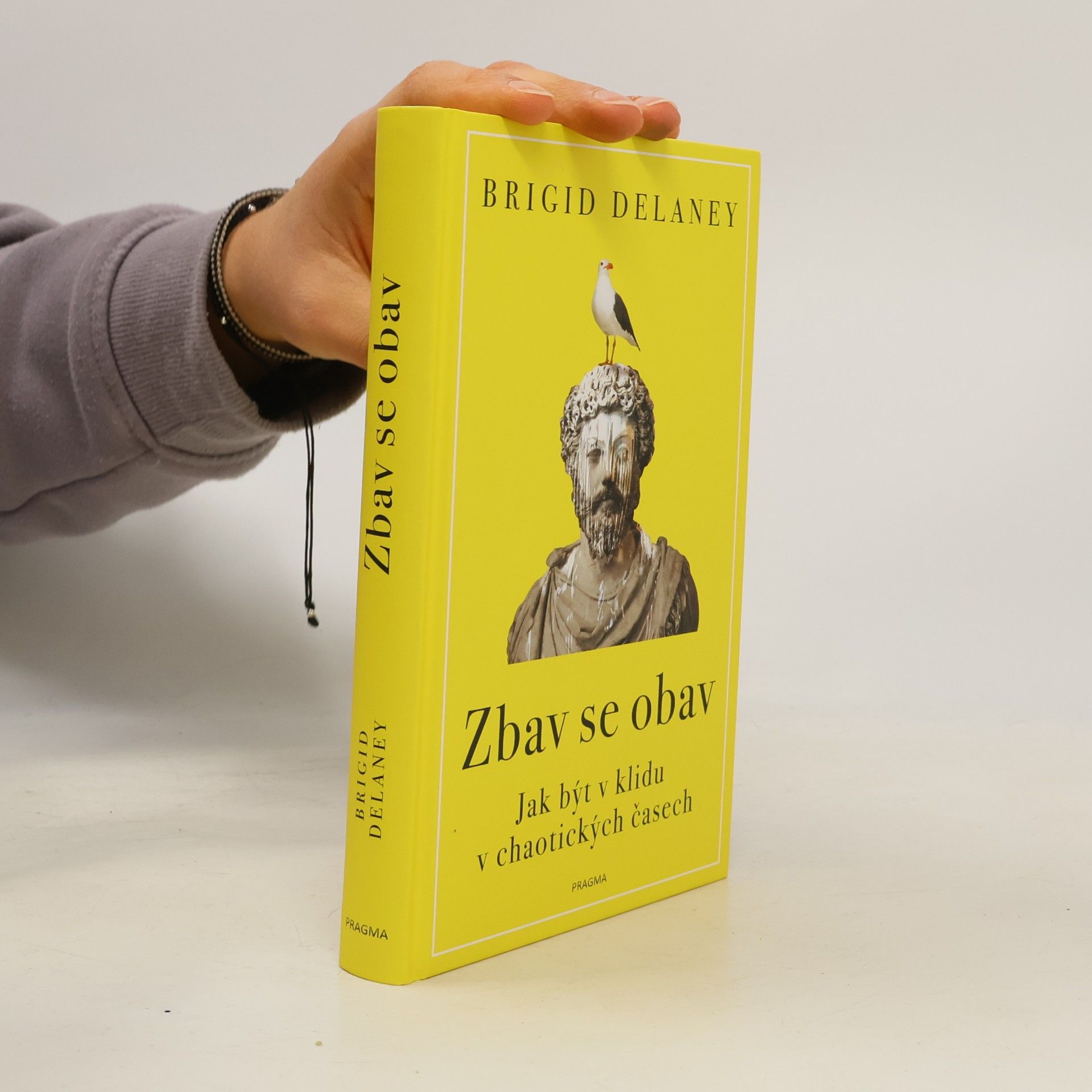 Brigid Delaney Zbav se obav. Jak být v klidu v chaotických časech