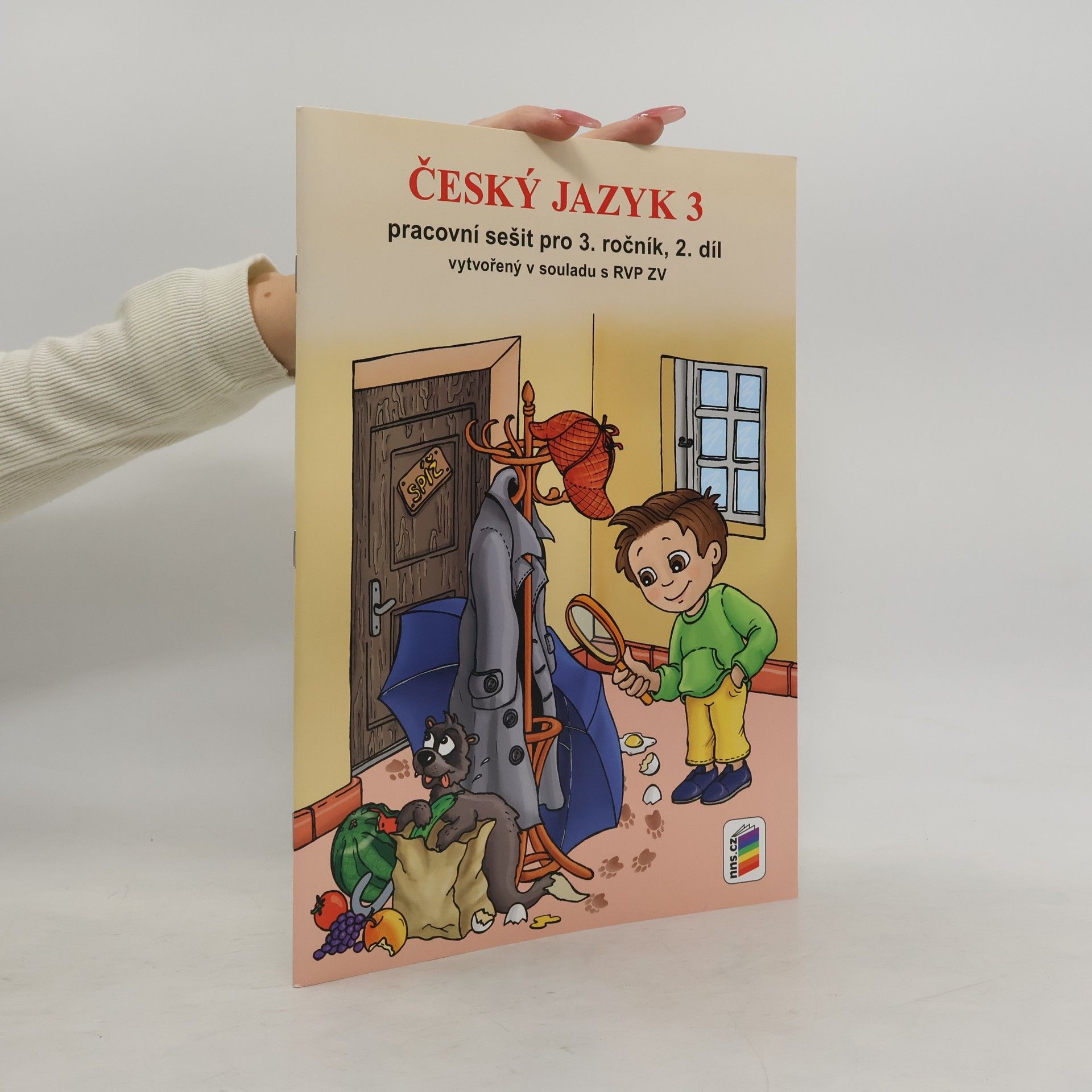 Lenka Bičanová Český jazyk 3