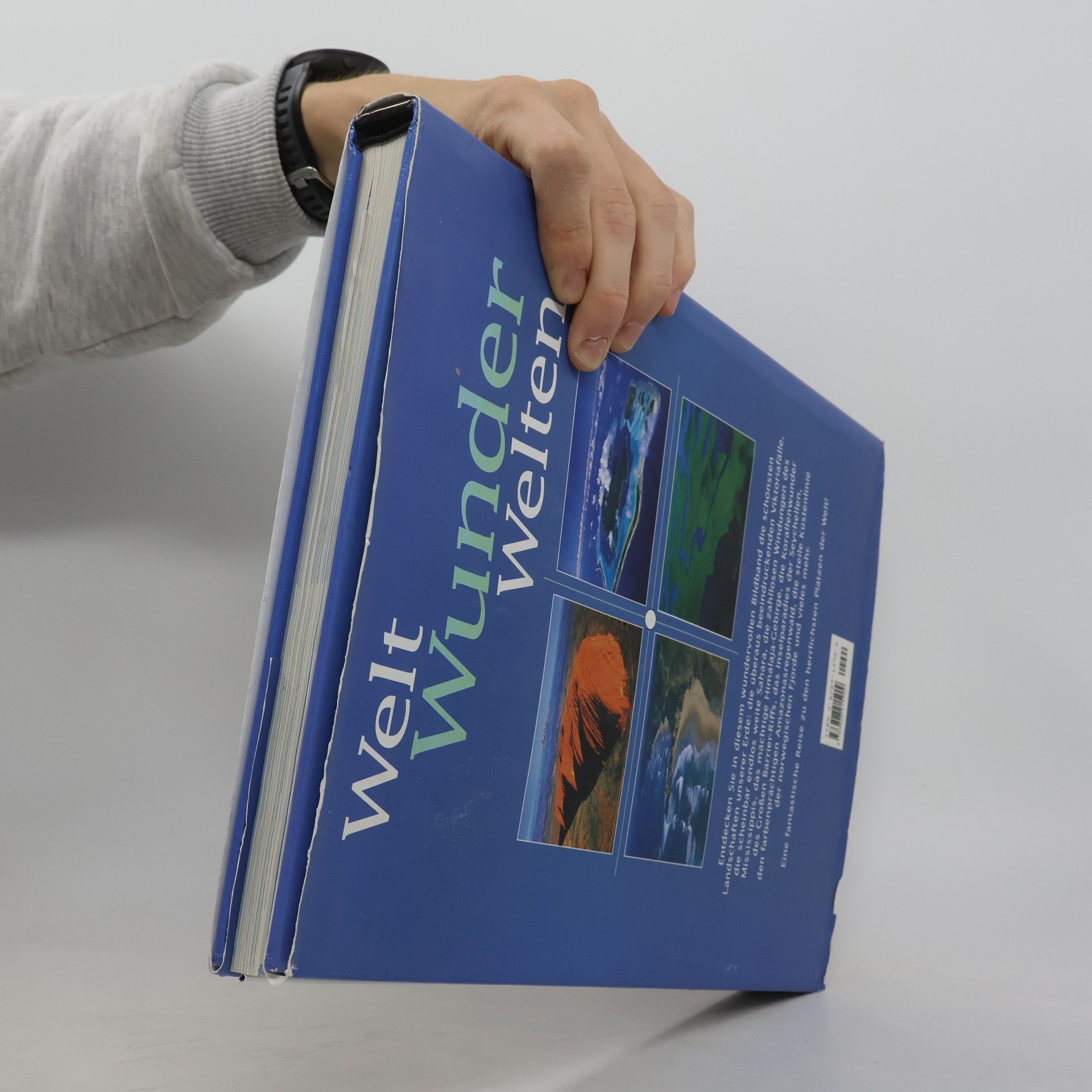 Robert John Moore Welt-Wunder-Welten