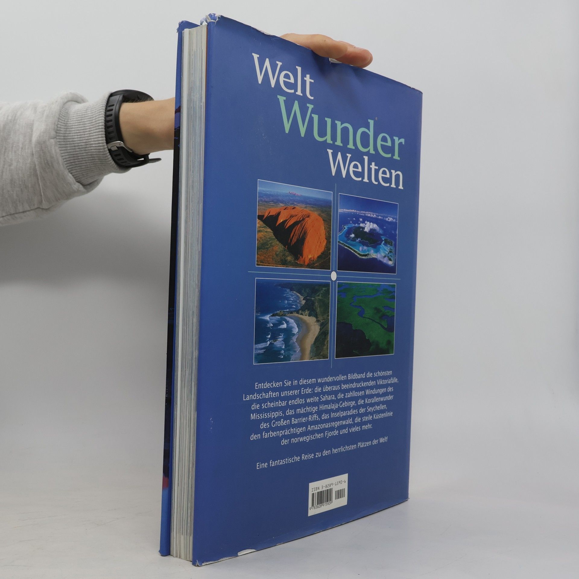 Robert John Moore Welt-Wunder-Welten