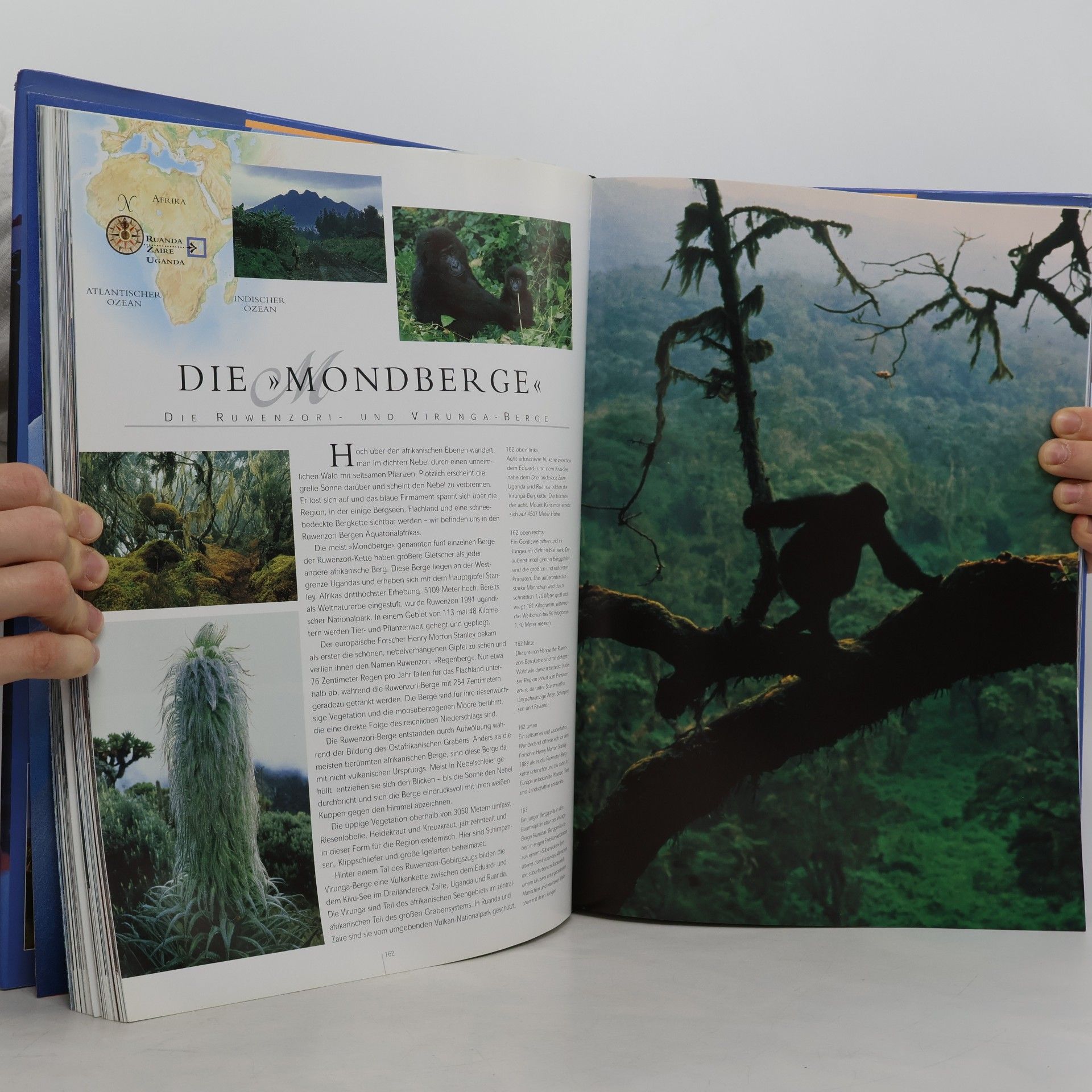 Robert John Moore Welt-Wunder-Welten