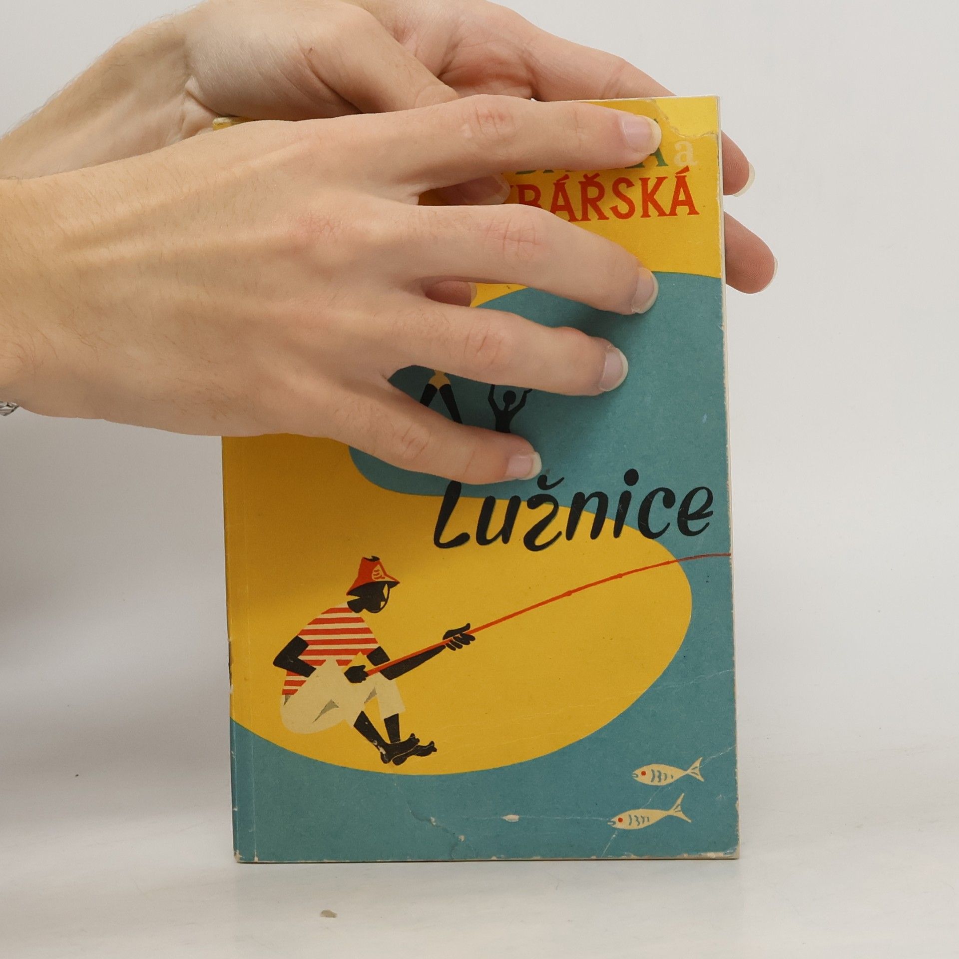 Collectif d'auteurs Vodácká rybářská mapa Lužnice