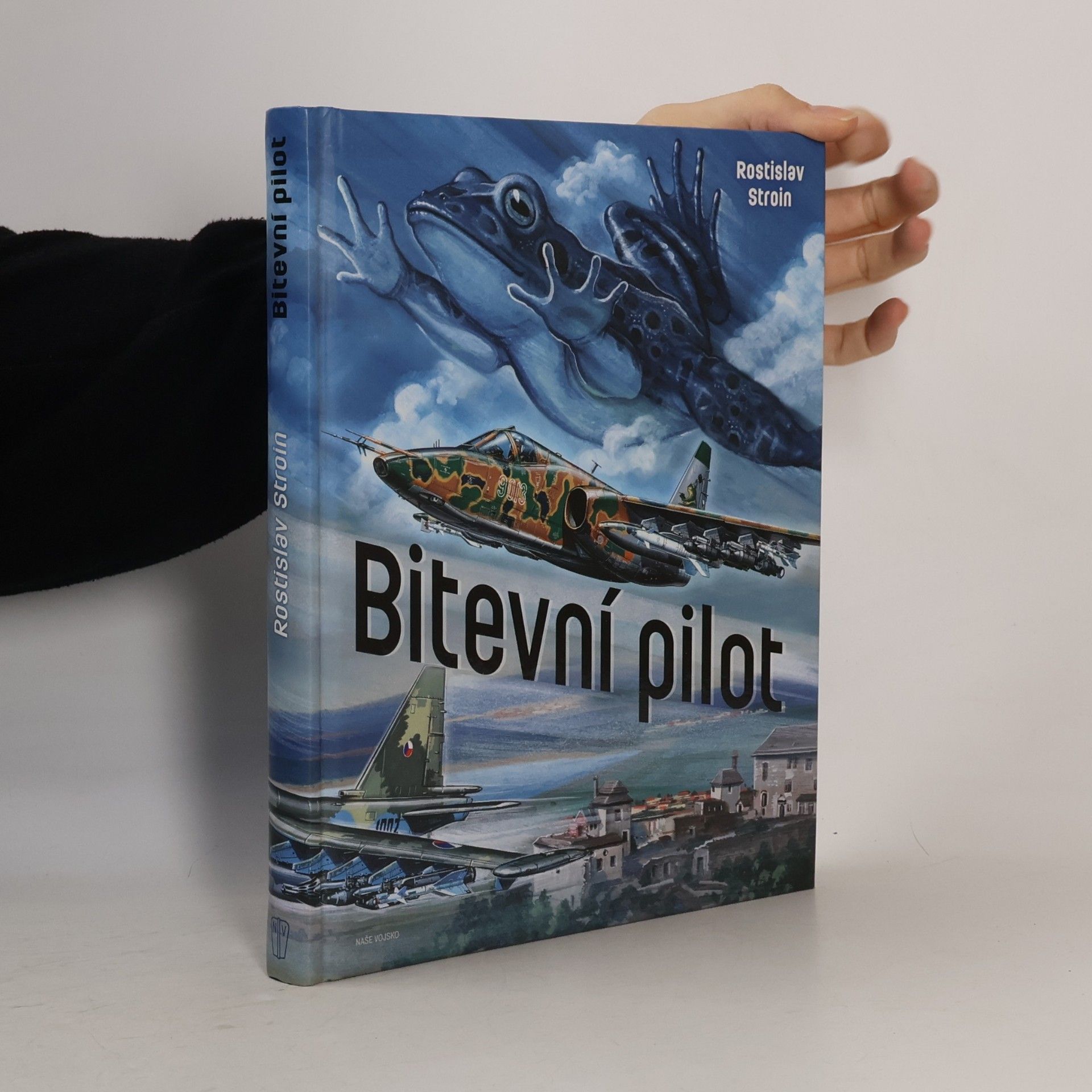 Rostislav Stroin Bitevní pilot