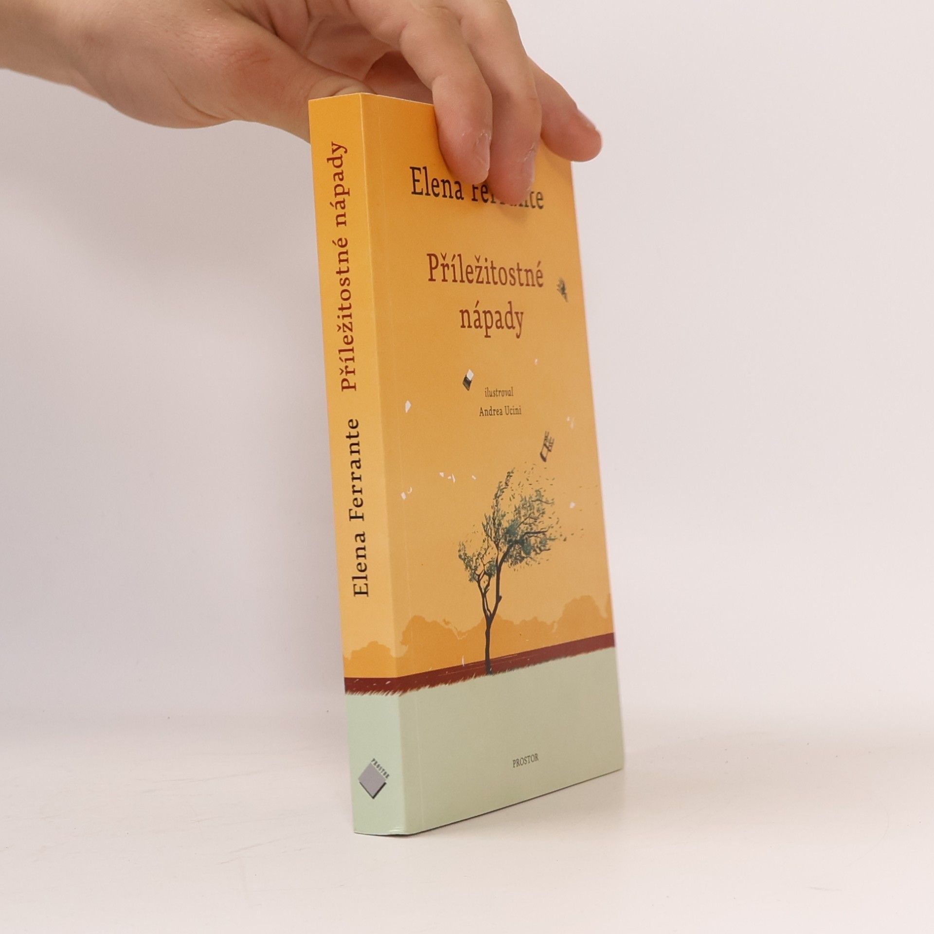 Elena Ferrante Příležitostné nápady